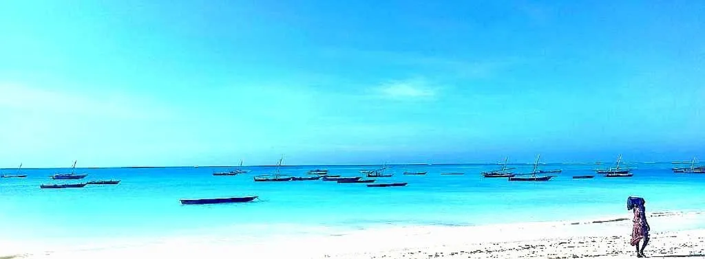 Beach in Mambo Boutique Nungwi