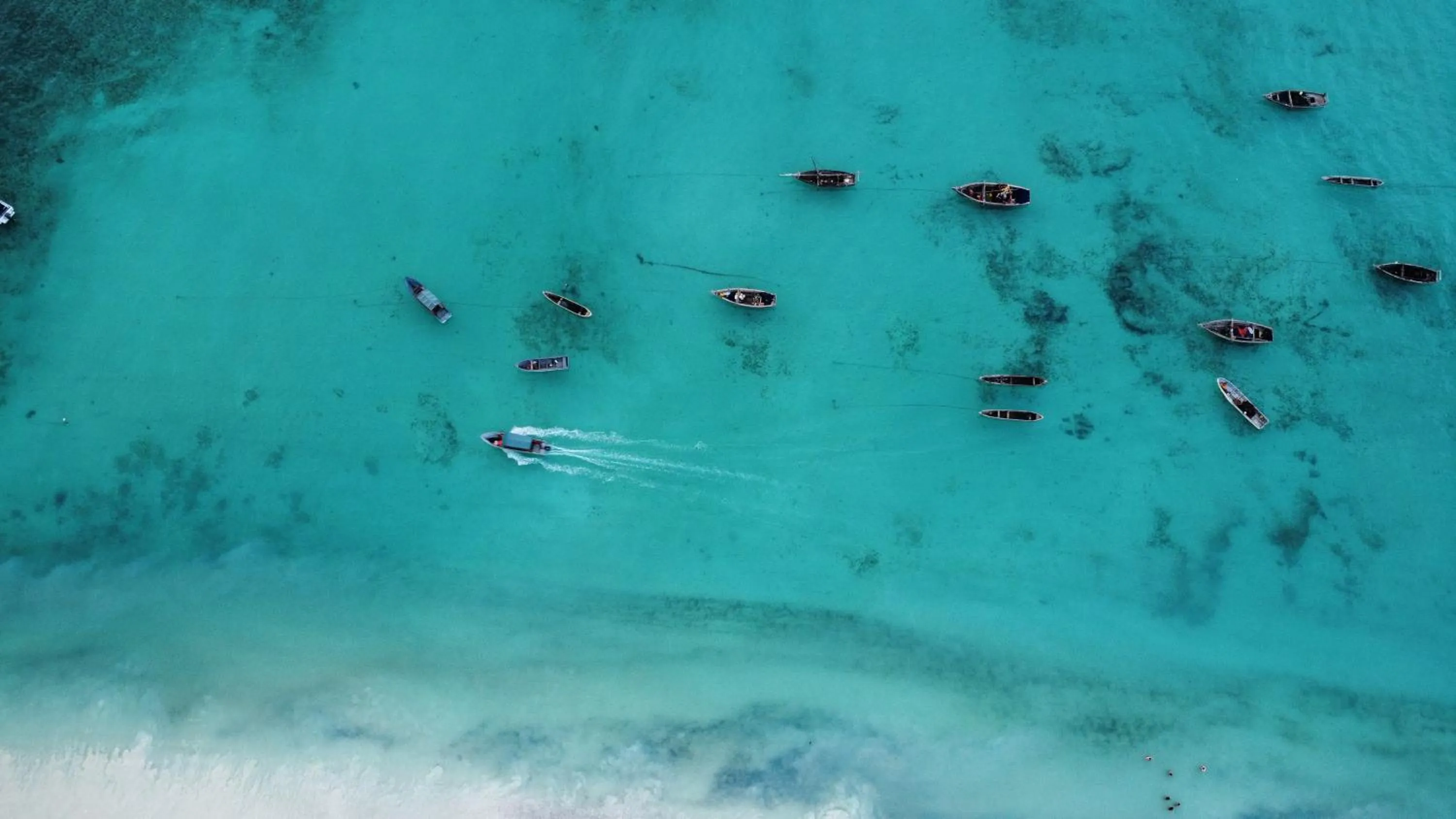 Beach in Mambo Boutique Nungwi