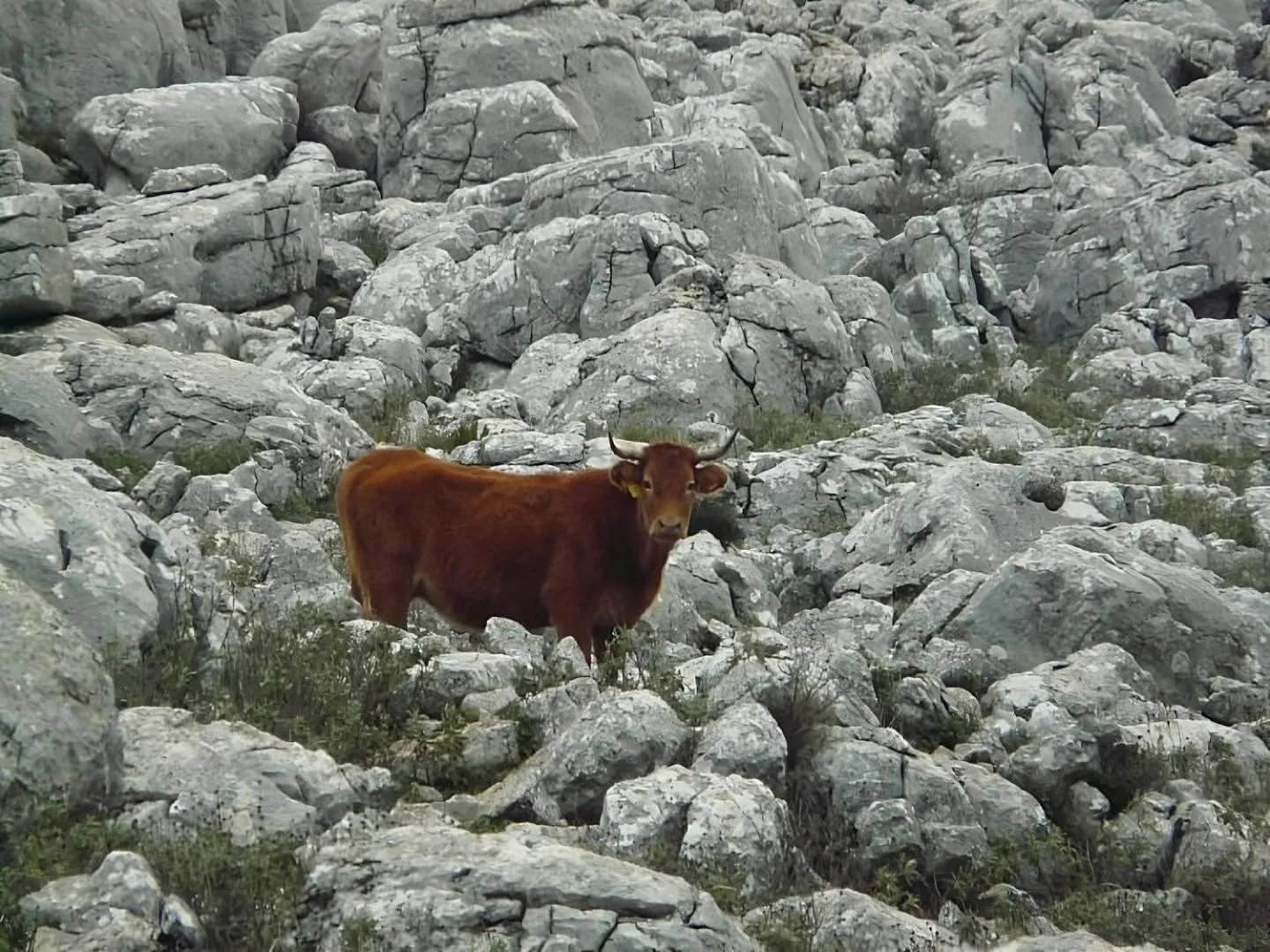 Hostal Colon Antequera
