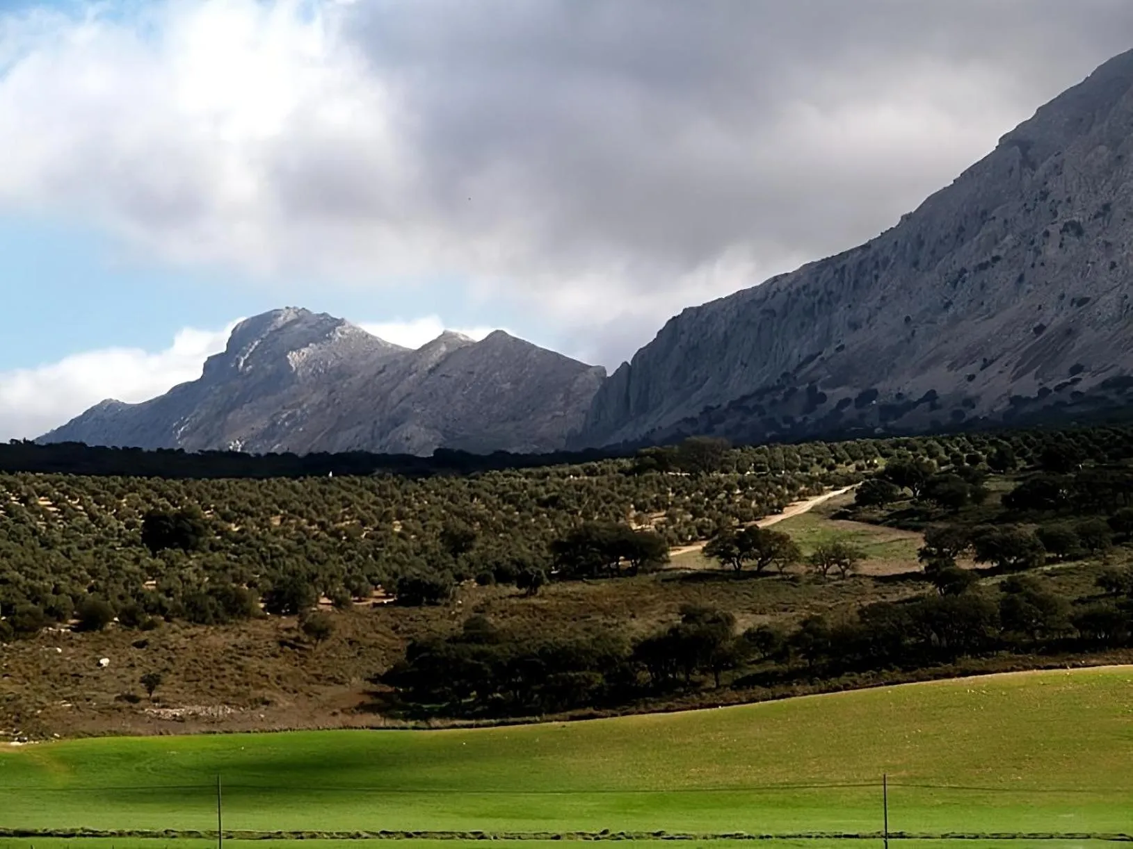 Hostal Colon Antequera