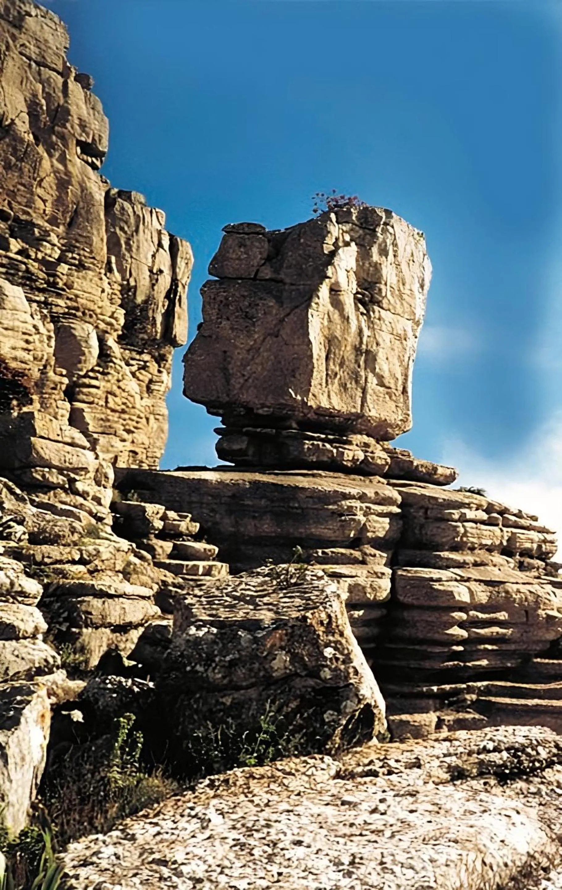 Nearby landmark in Hostal Colon Antequera