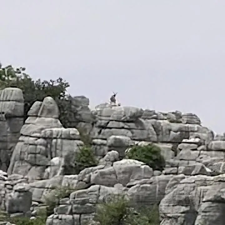 Day in Hostal Colon Antequera