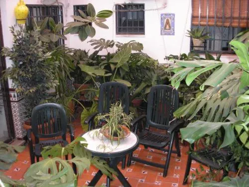 Garden in Hostal Colon Antequera