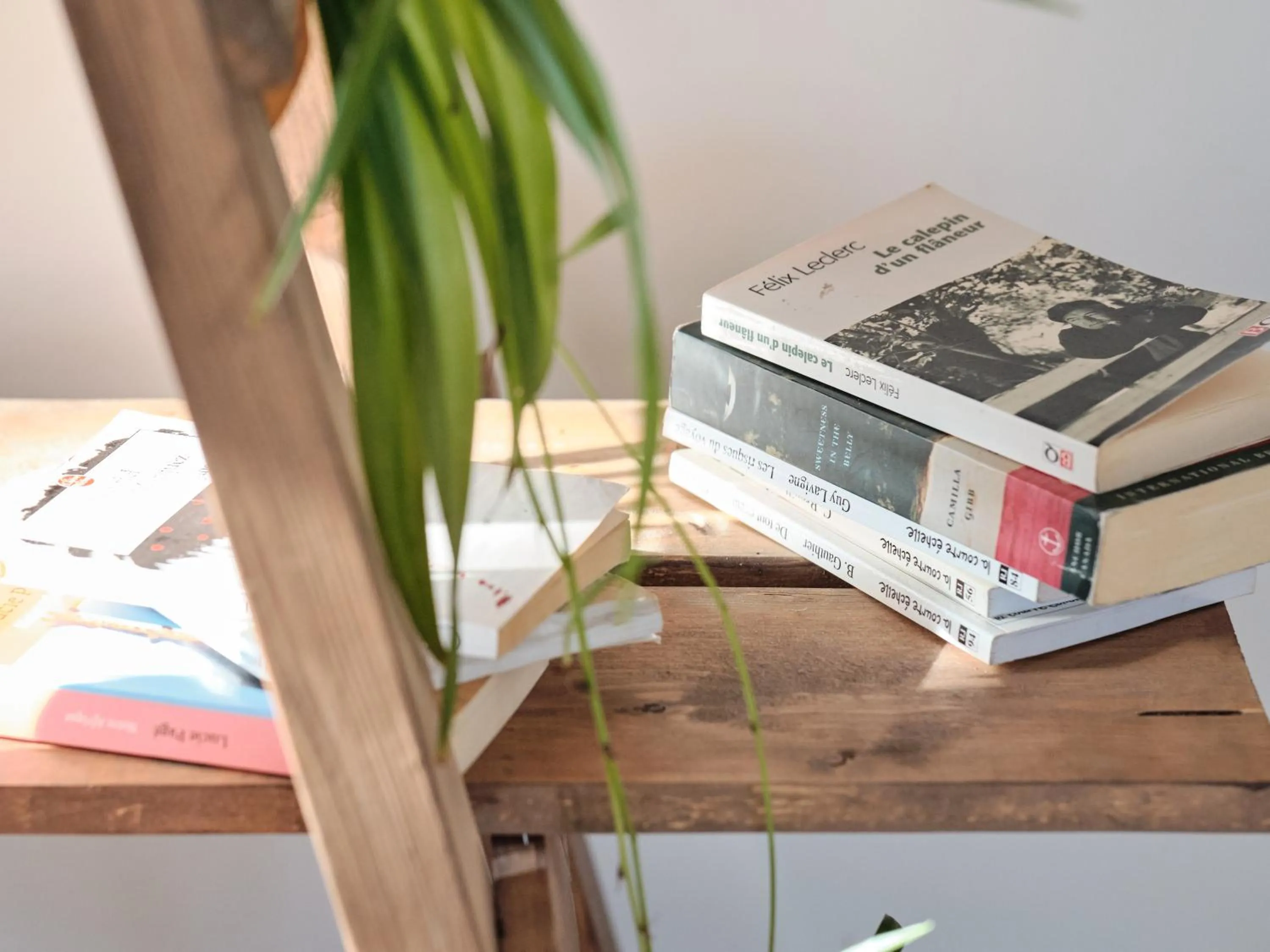 Library in BALCON BLANC - Auberge à Chicoutimi, Saguenay