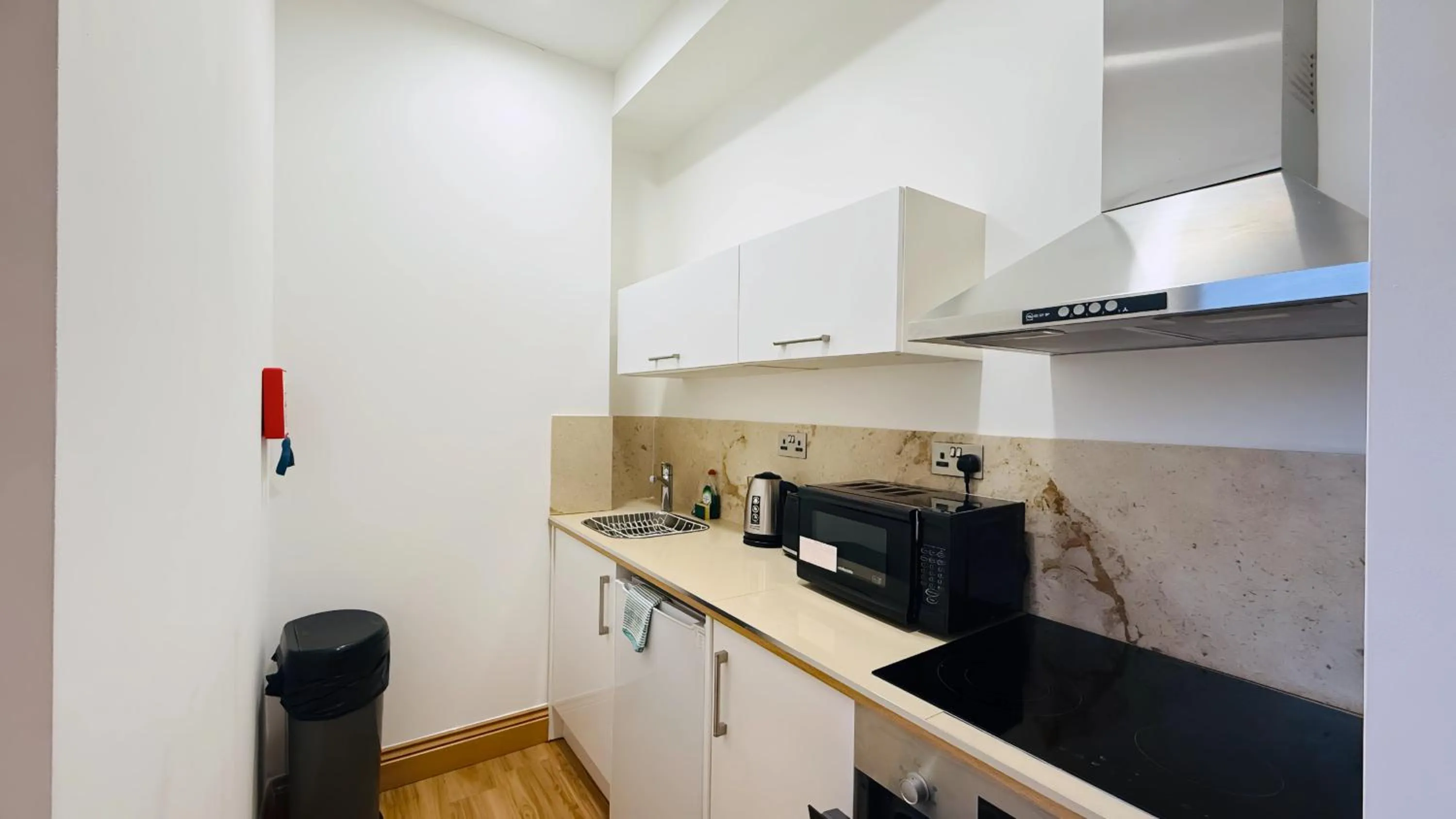Kitchen or kitchenette in Osborne Aparthotel