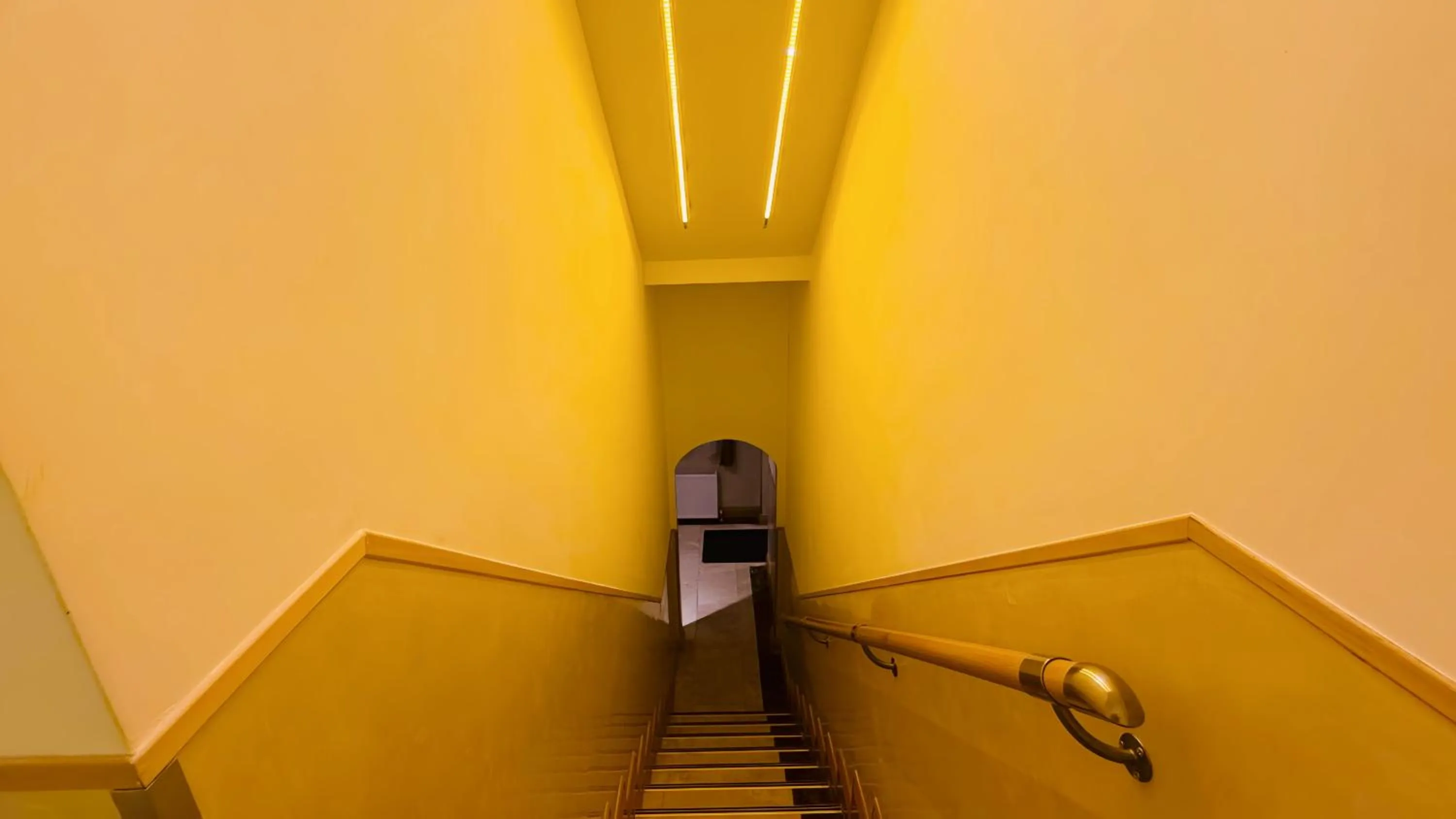 Area and facilities in Osborne Aparthotel