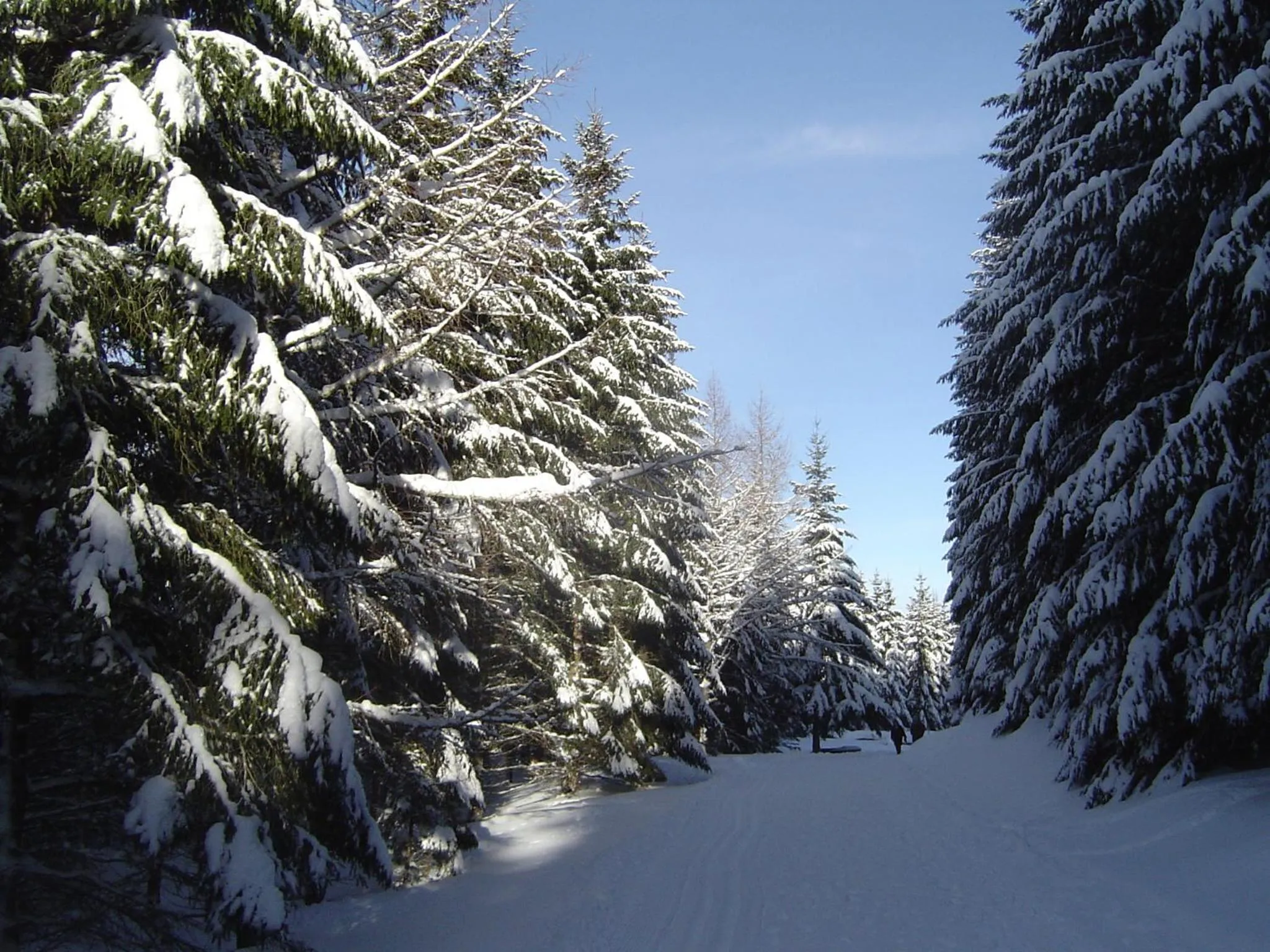 Winter in Ferienhotel Schwarzwälder Hof