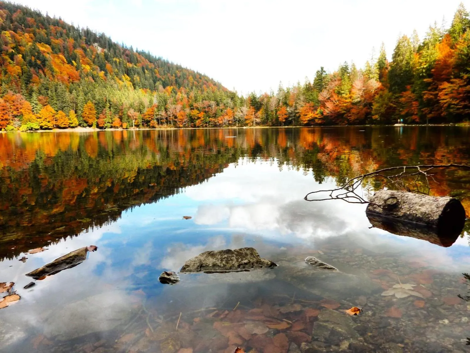 Ferienhotel Schwarzwälder Hof