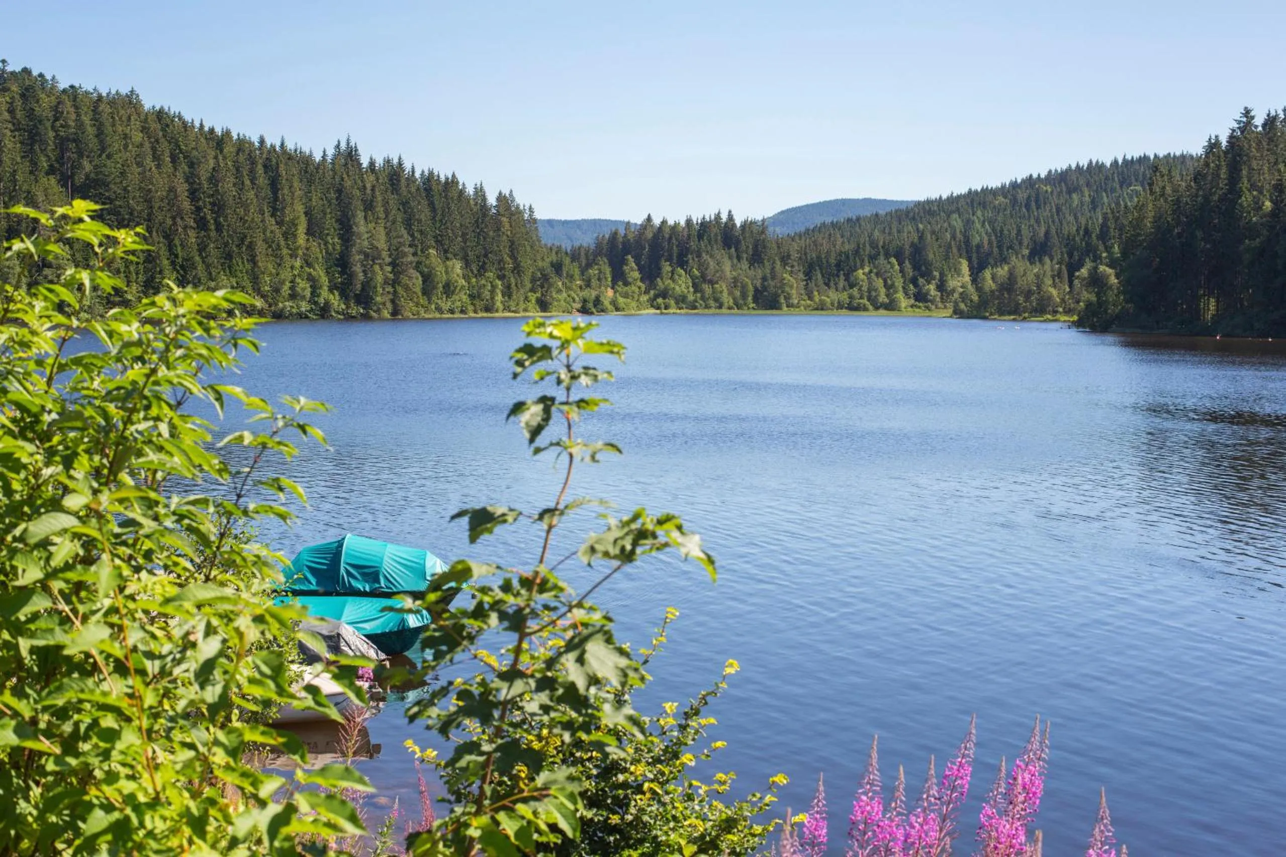 Ferienhotel Schwarzwälder Hof