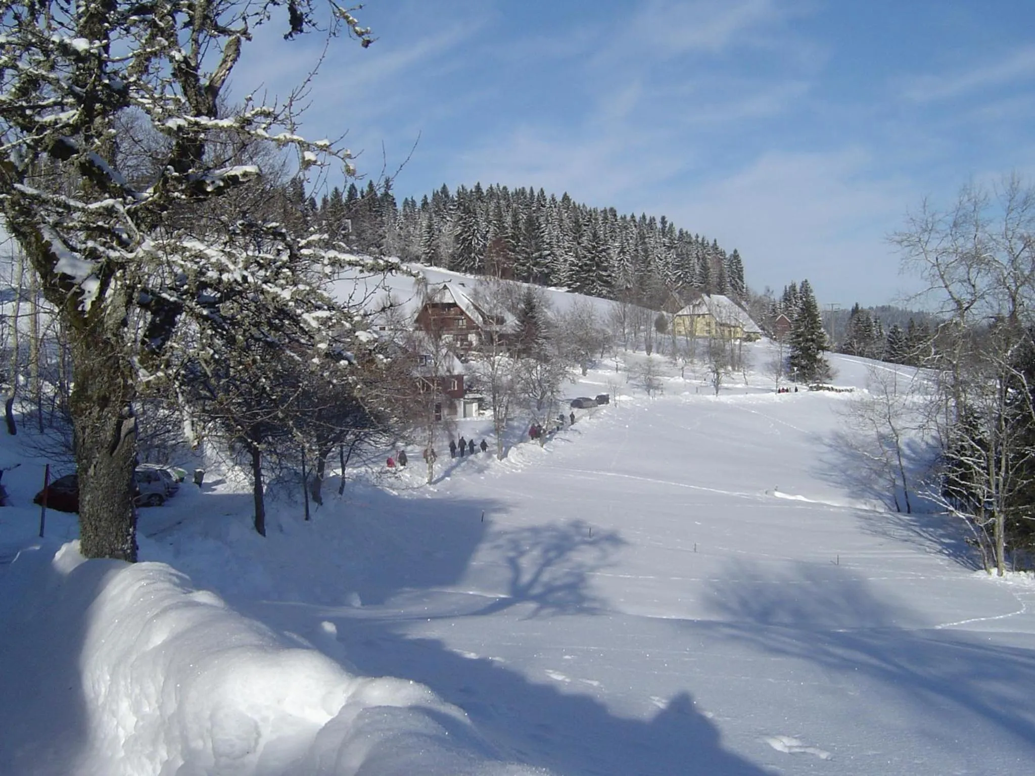 Winter in Ferienhotel Schwarzwälder Hof