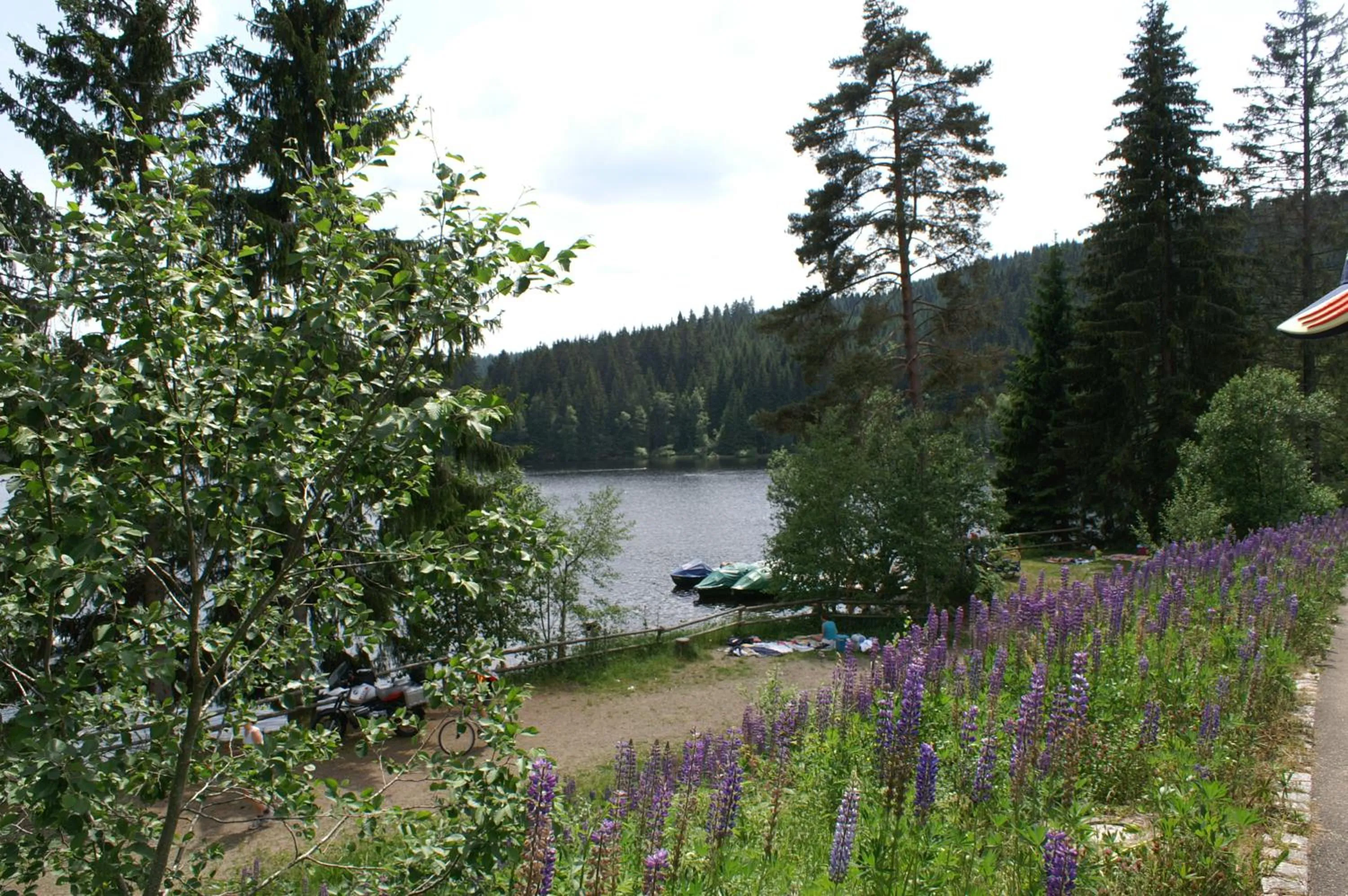 Summer in Ferienhotel Schwarzwälder Hof