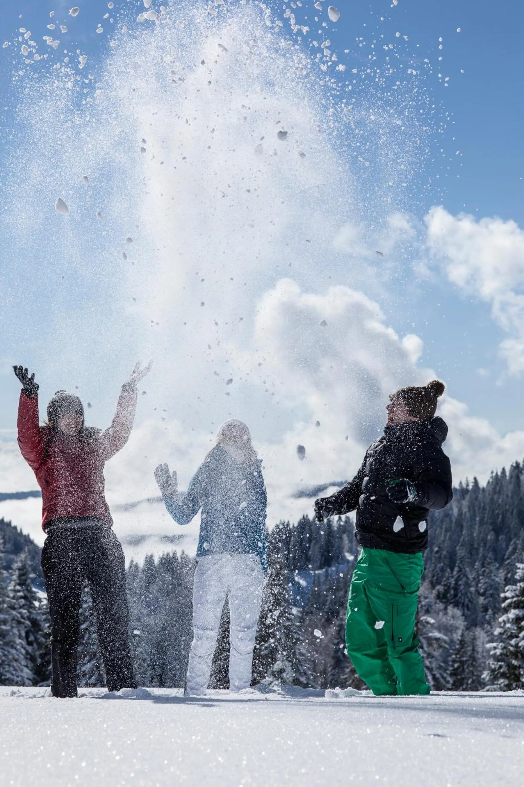 Ferienhotel Schwarzwälder Hof