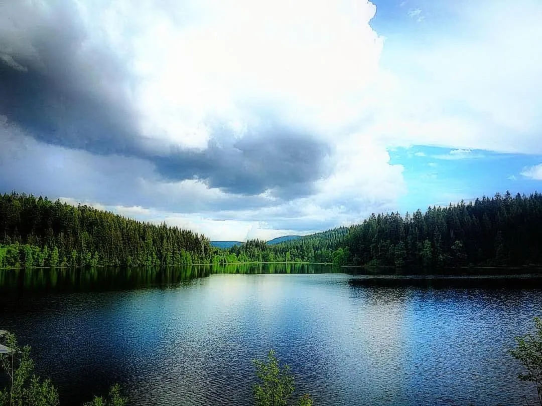 Ferienhotel Schwarzwälder Hof