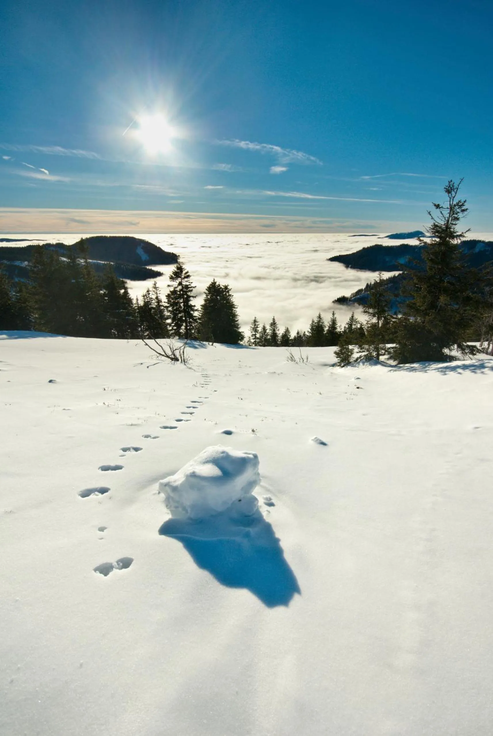 Ferienhotel Schwarzwälder Hof