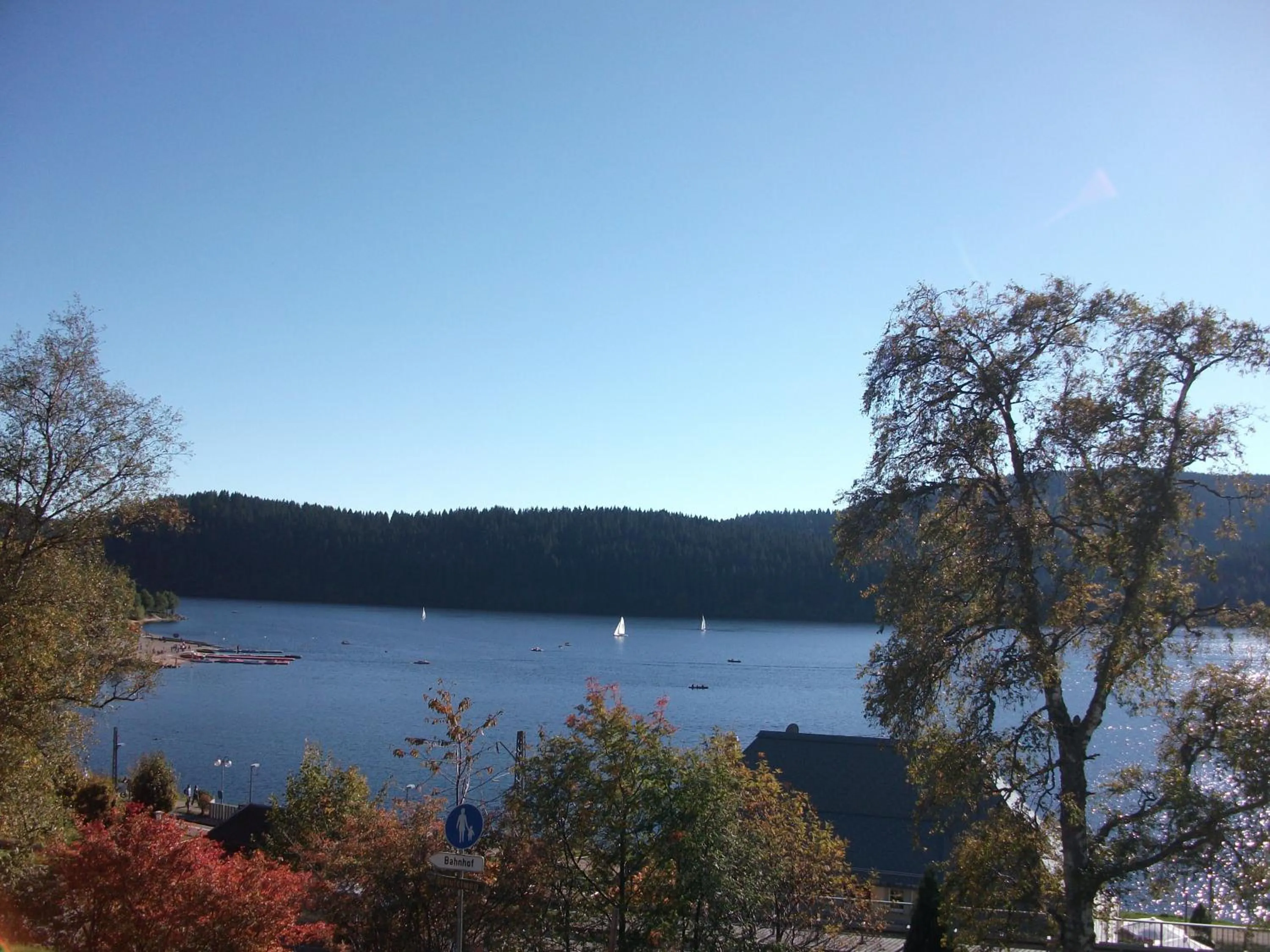 Summer in Ferienhotel Schwarzwälder Hof