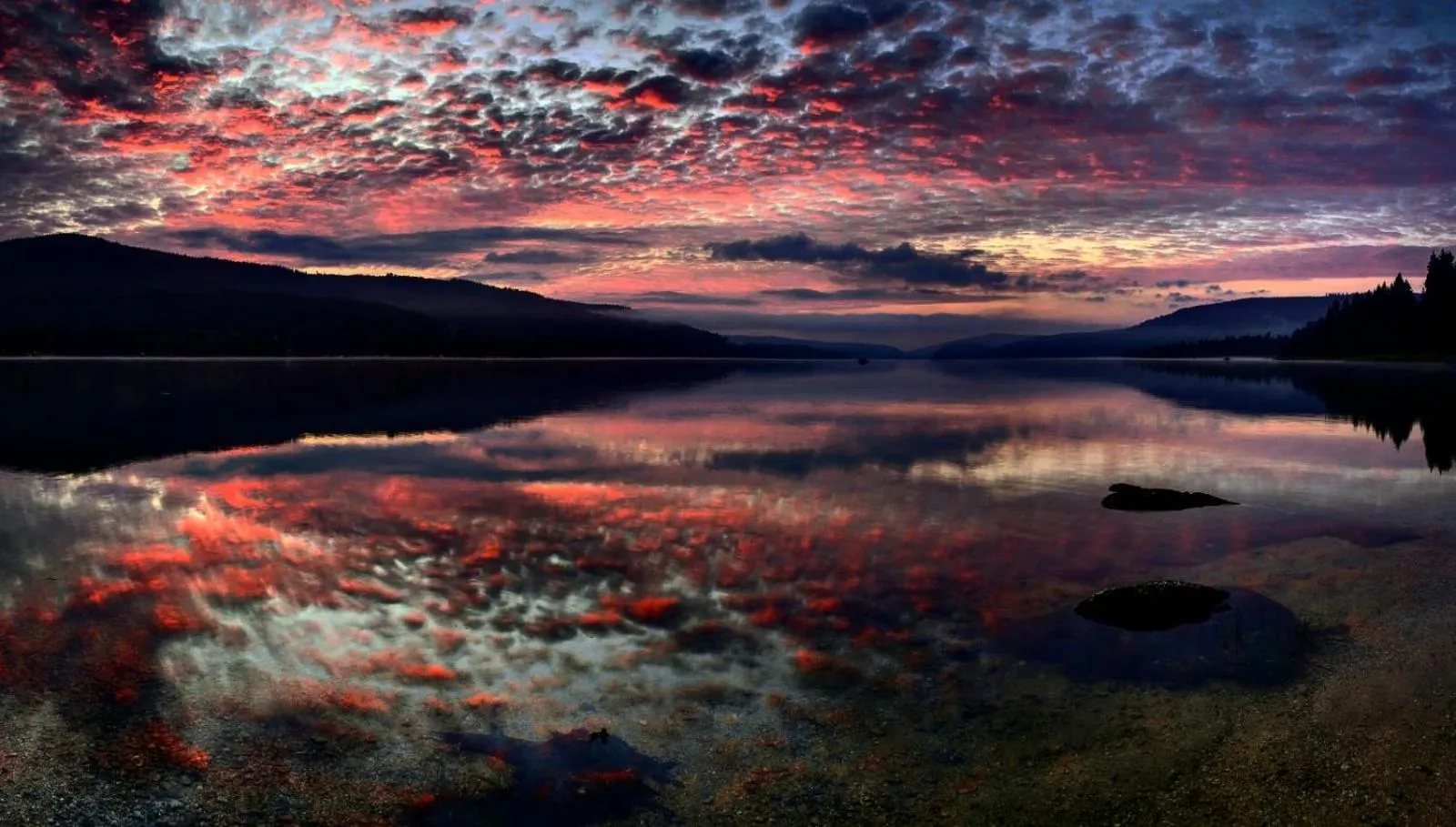 Ferienhotel Schwarzwälder Hof