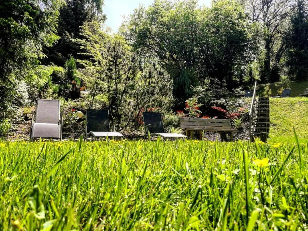 Garden in Ferienhotel Schwarzwälder Hof