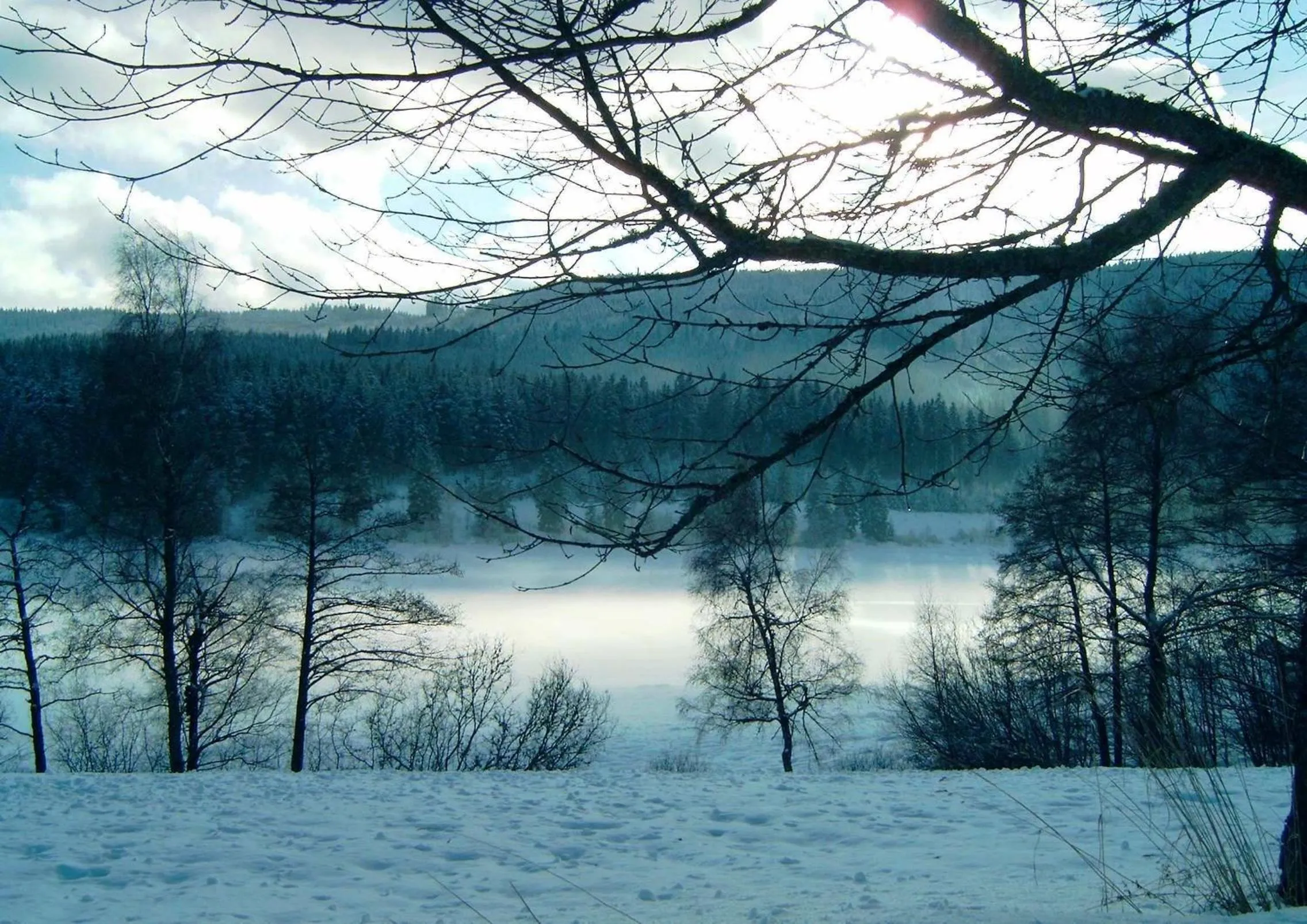 Winter in Ferienhotel Schwarzwälder Hof