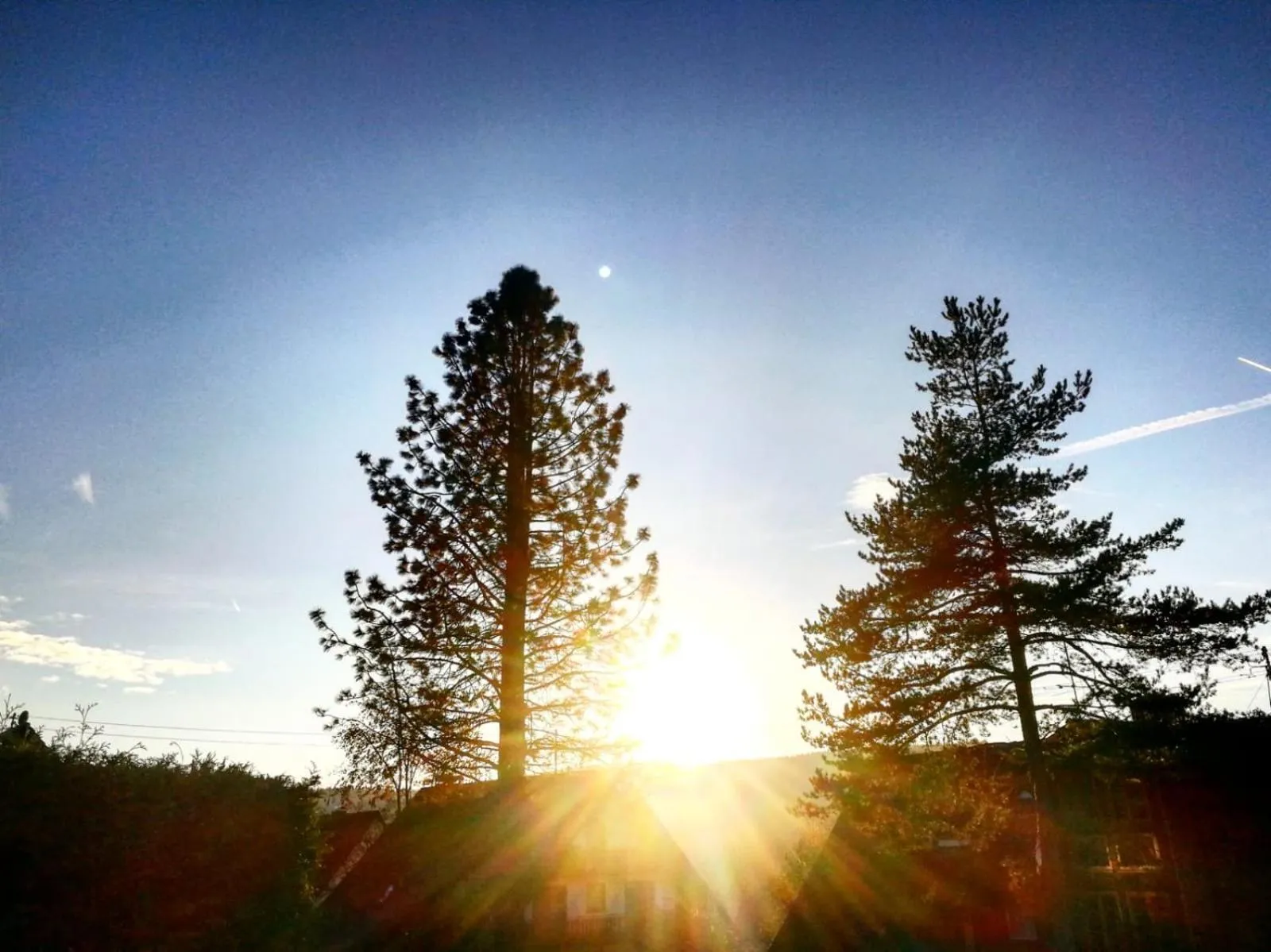 Ferienhotel Schwarzwälder Hof