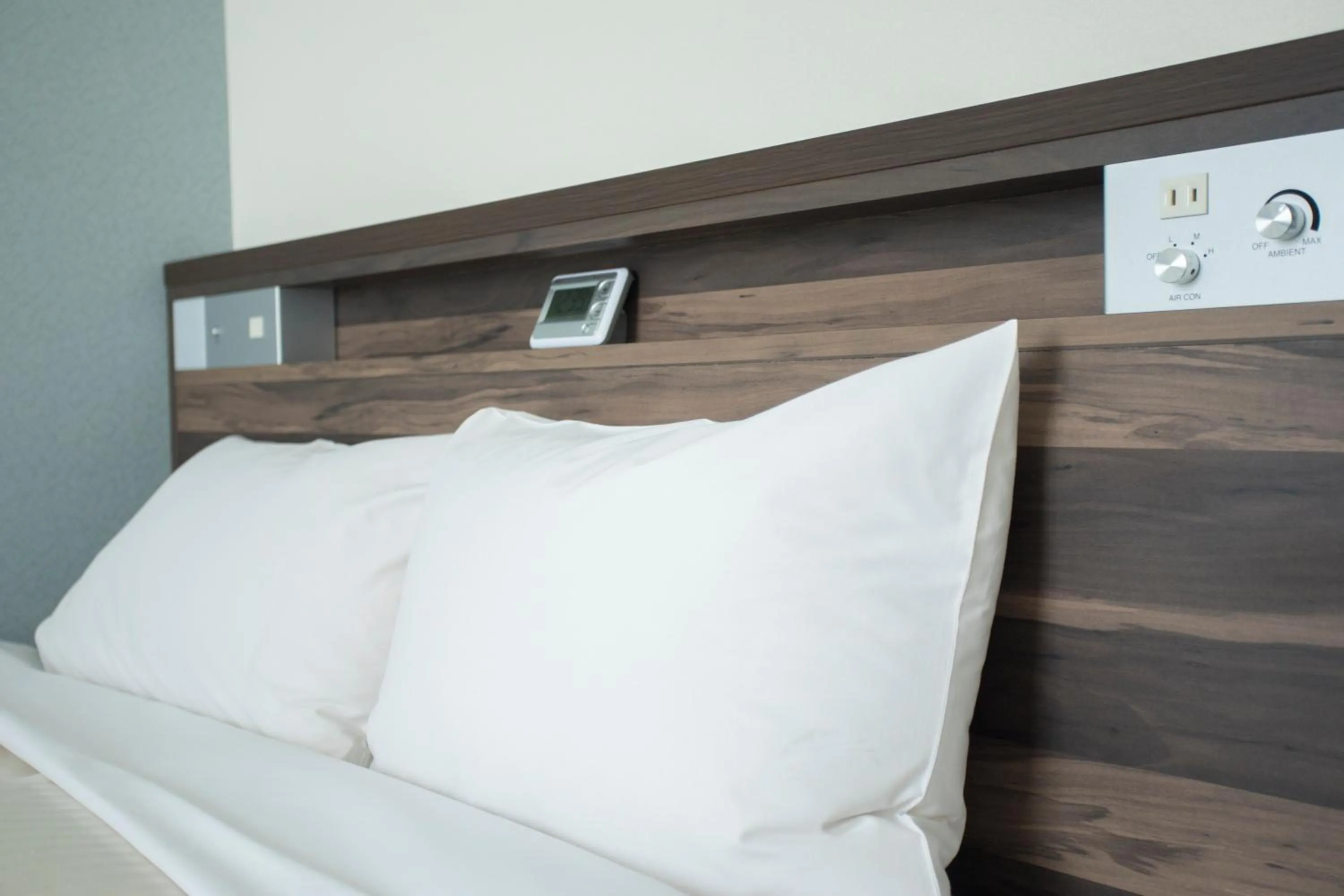 Decorative detail in Hiroshima Pacific Hotel