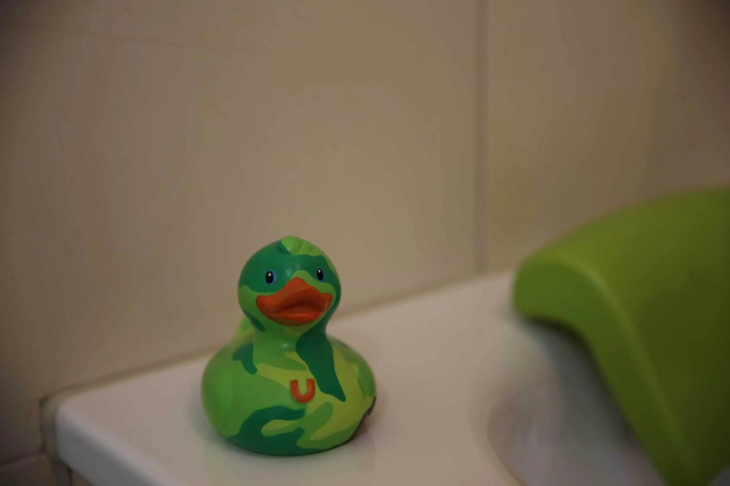 Bathroom in B&B Hippo-Droom