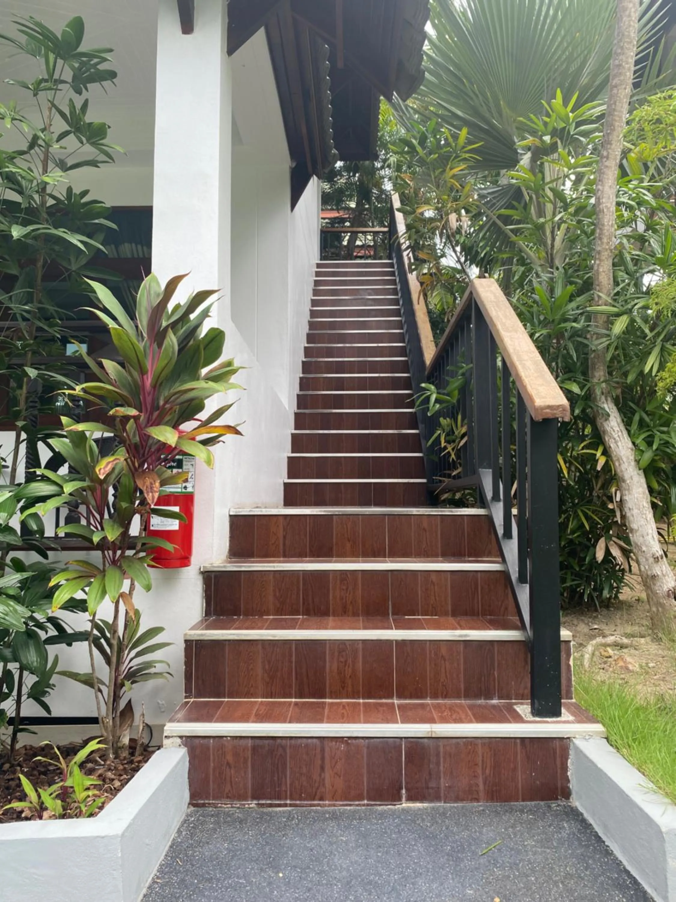 Garden in Amara Beach Resort Koh Phangan