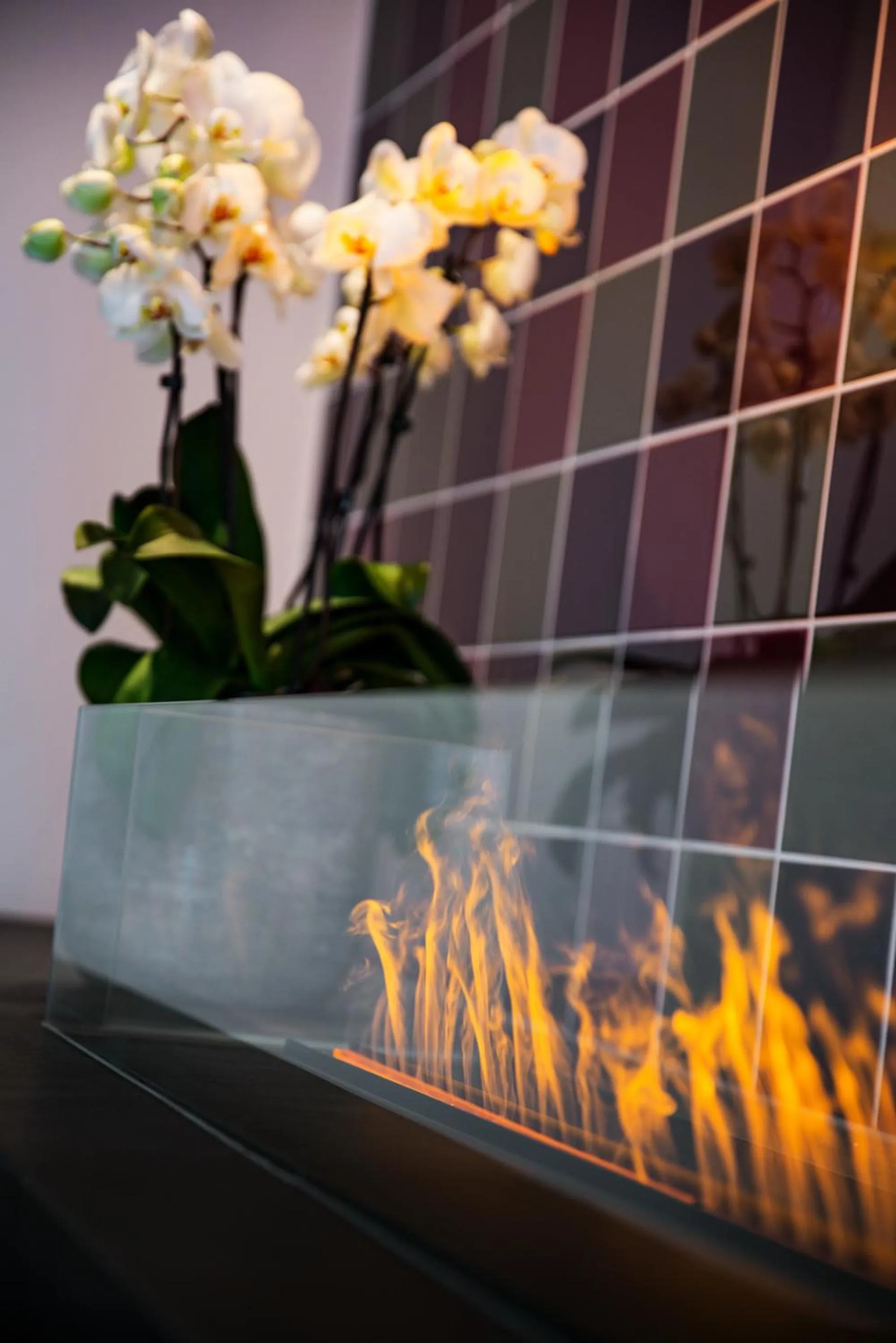 Spa and wellness centre/facilities in IntercityHotel Geneva