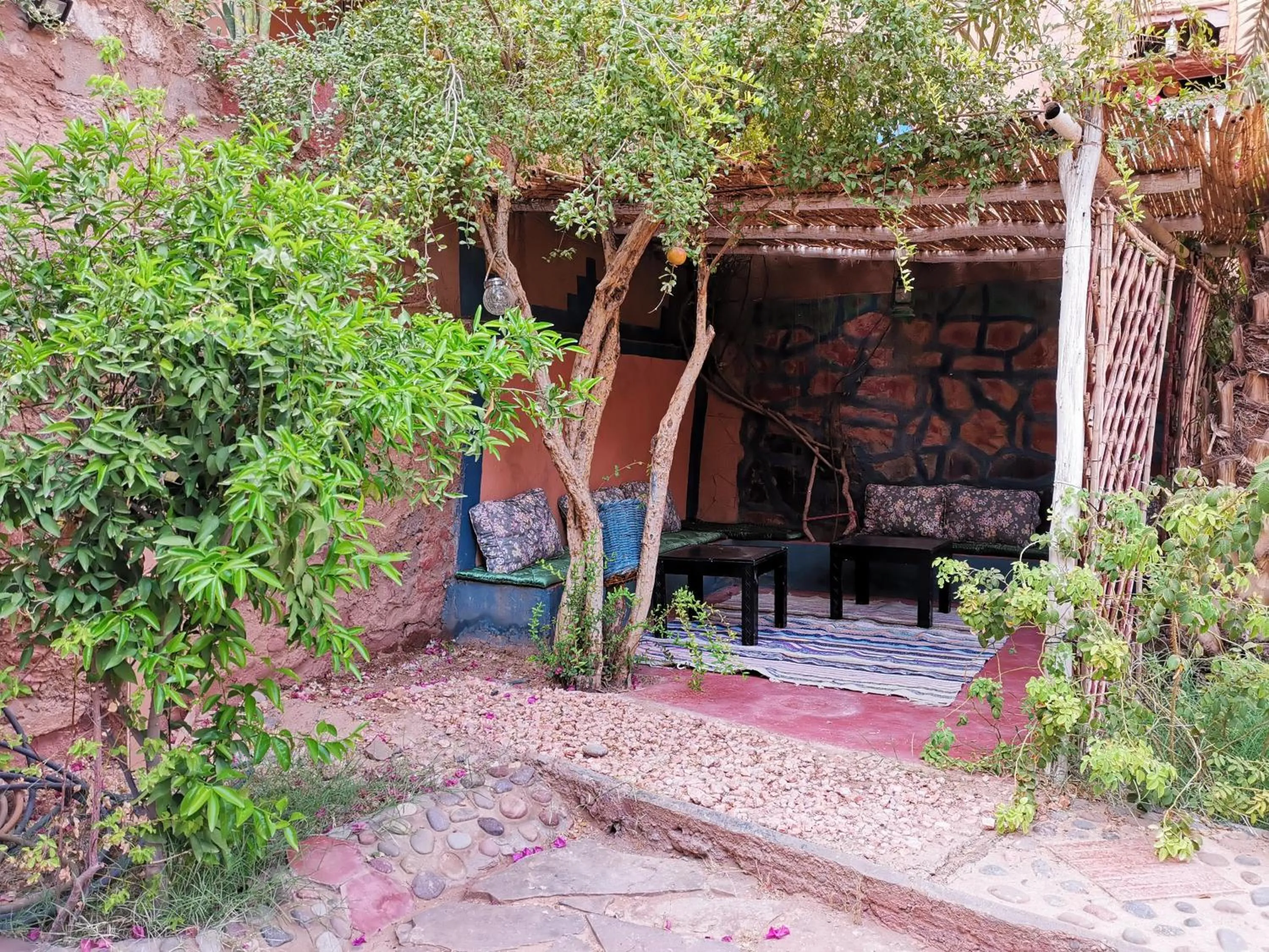 Garden in Riad Dar Zaouia