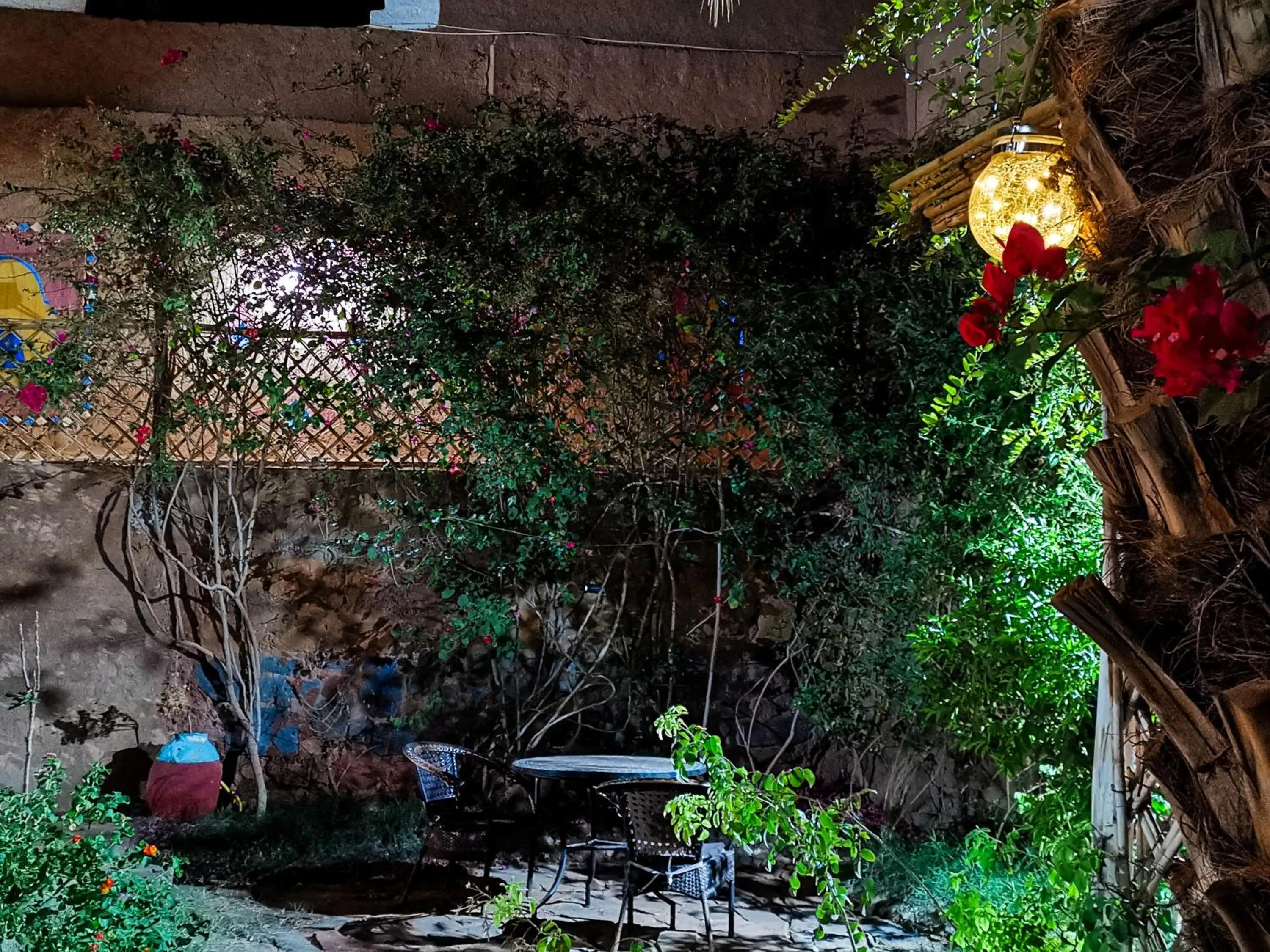 Patio in Riad Dar Zaouia