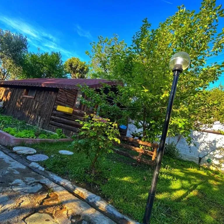 Garden in Zeytindağı bungalow