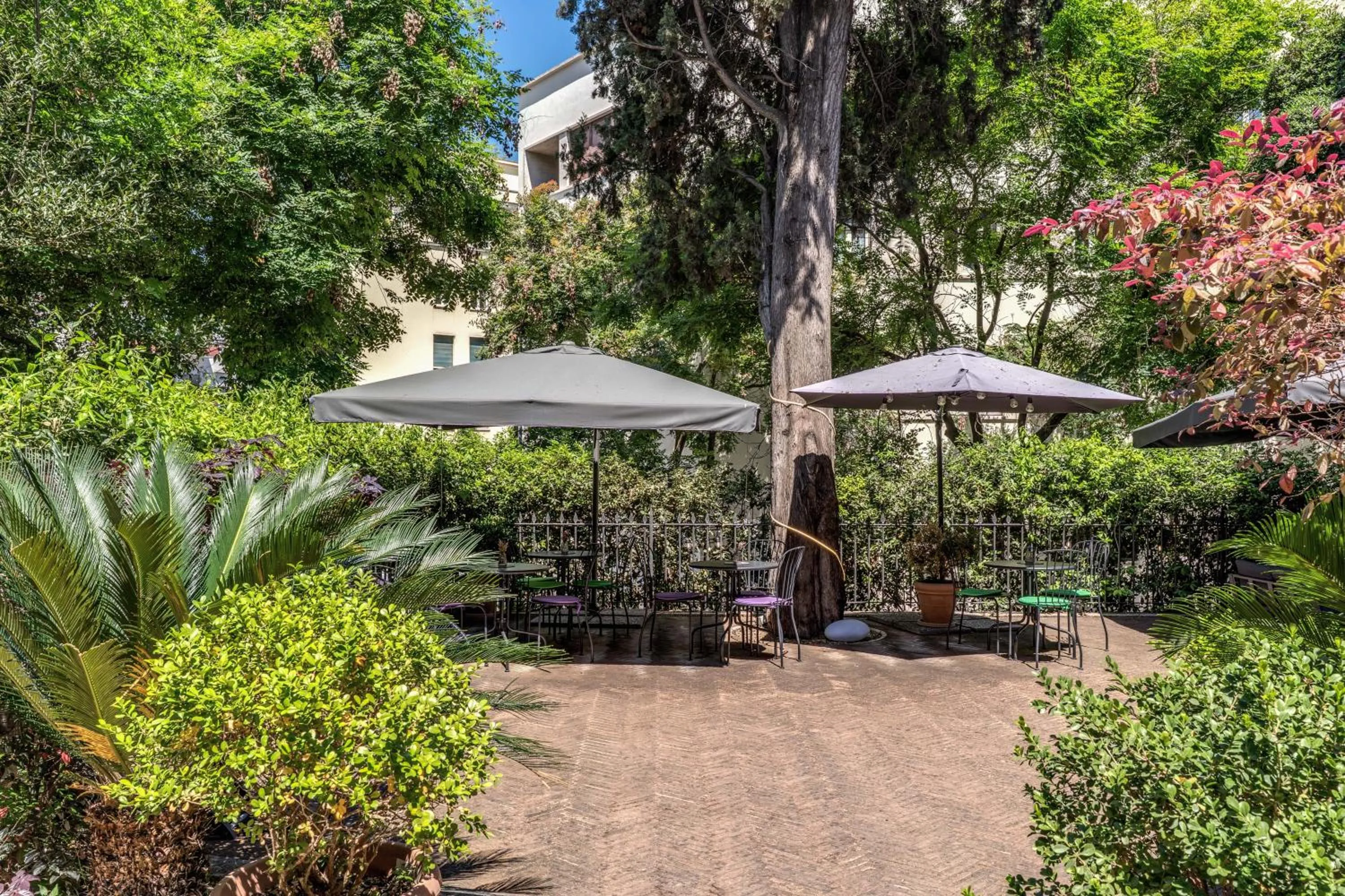 Natural landscape in Mangili Garden Hotel