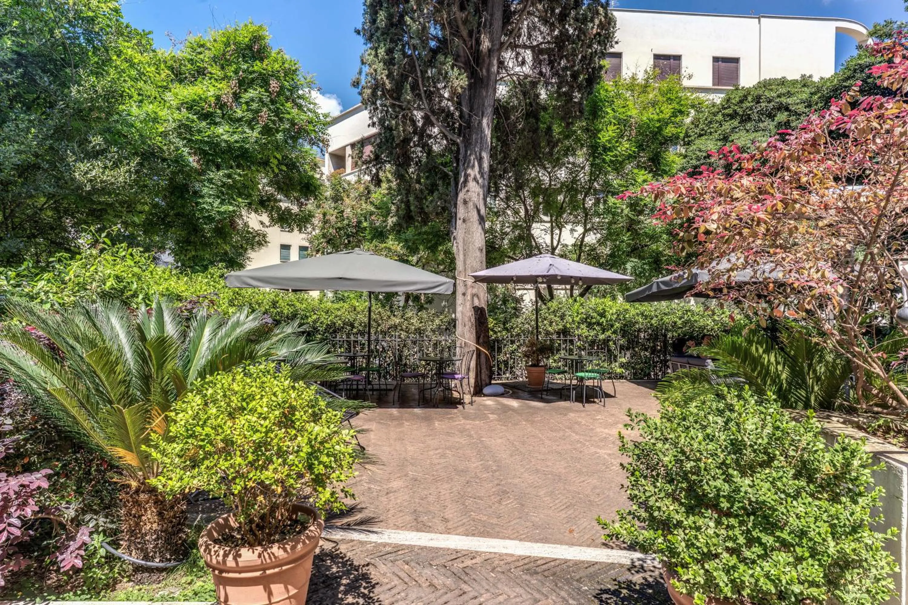 Garden in Mangili Garden Hotel