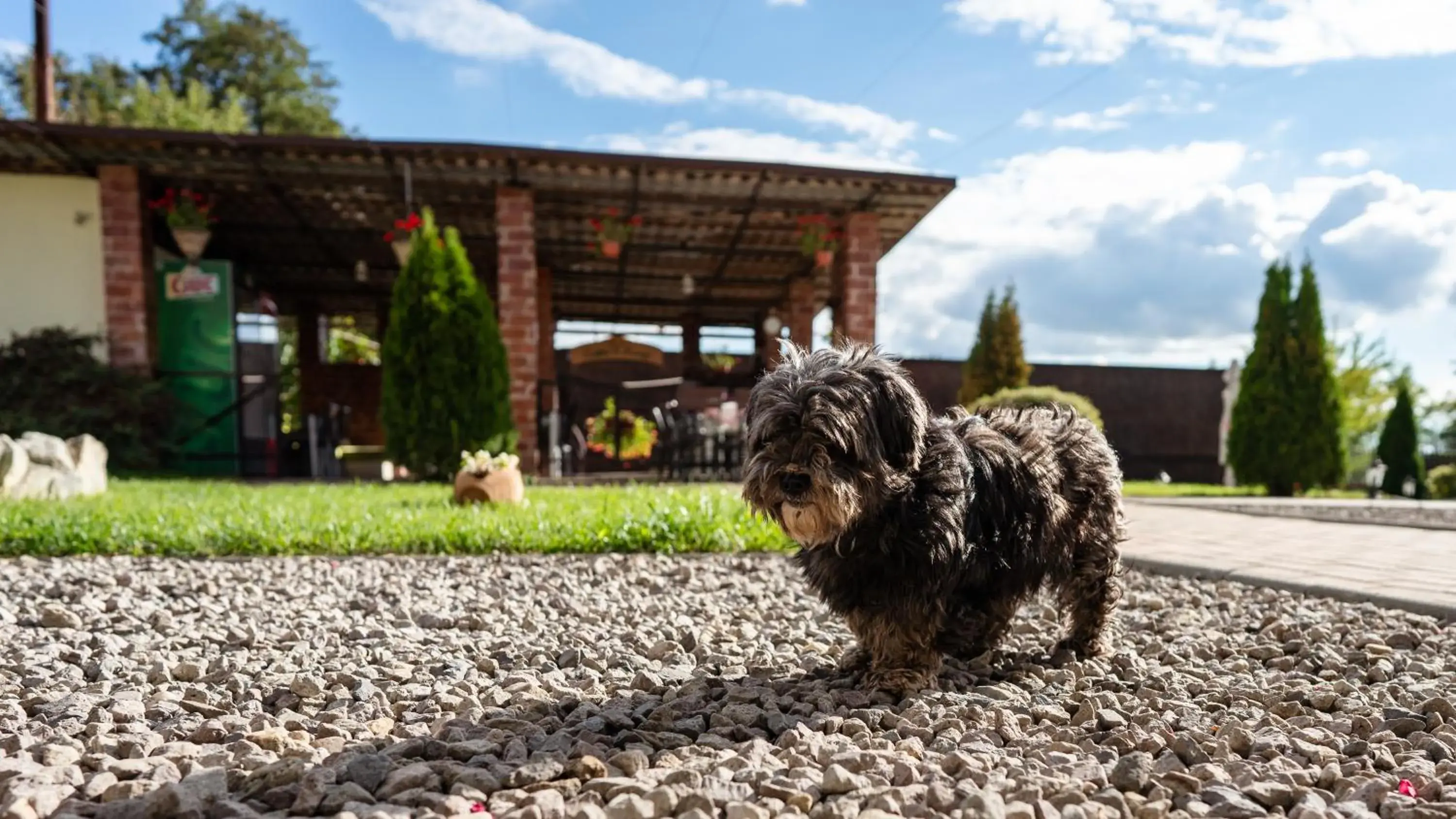 HERMITAGE by Elenis HERMITAGE by Elenis