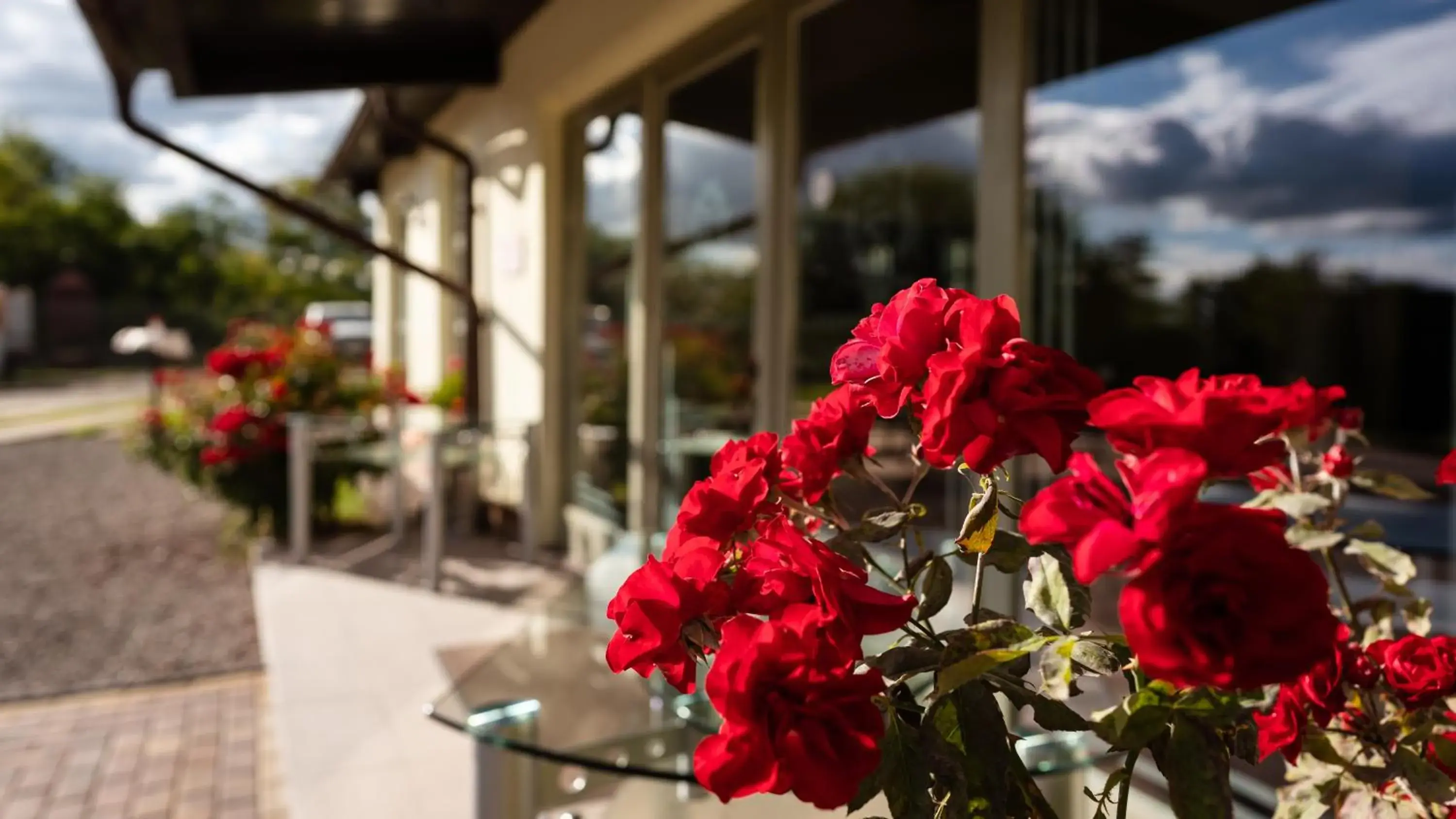 HERMITAGE by Elenis HERMITAGE by Elenis