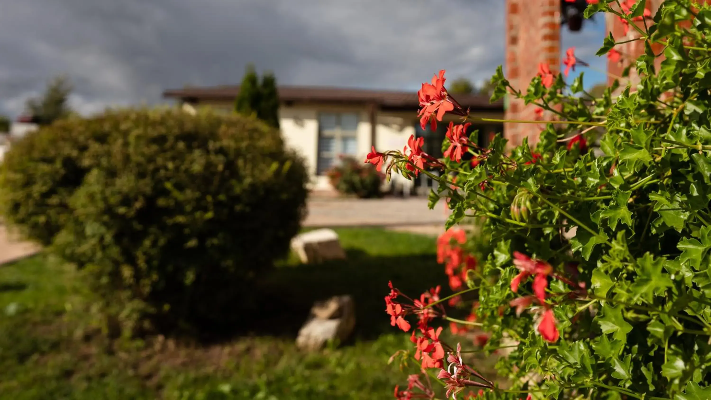 HERMITAGE by Elenis HERMITAGE by Elenis