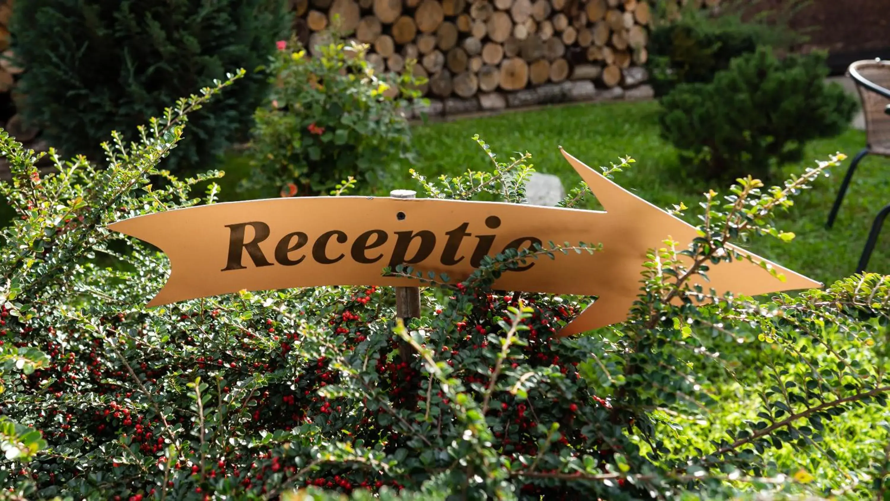 HERMITAGE by Elenis HERMITAGE by Elenis