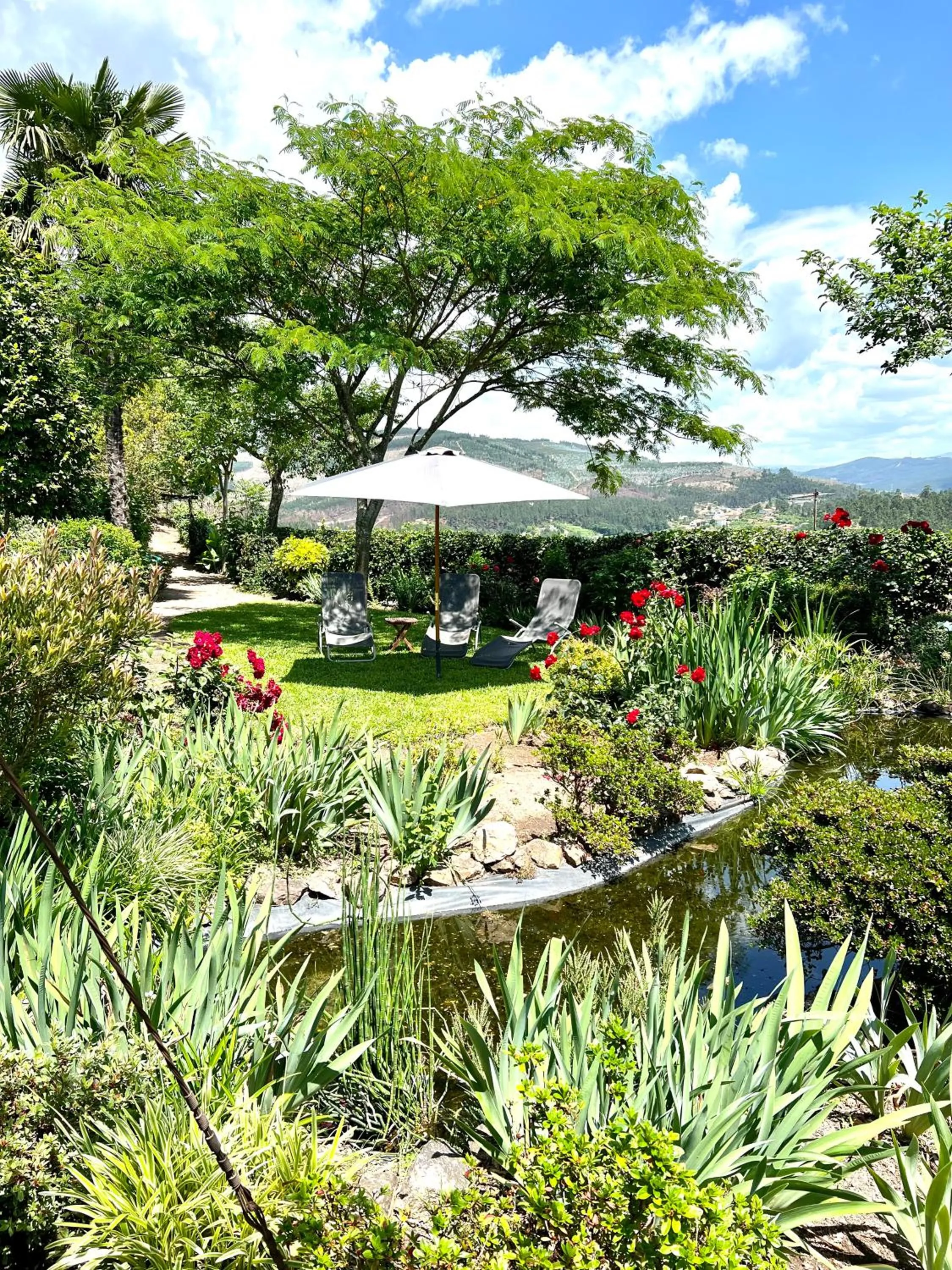 Natural landscape in Casa do Crasto