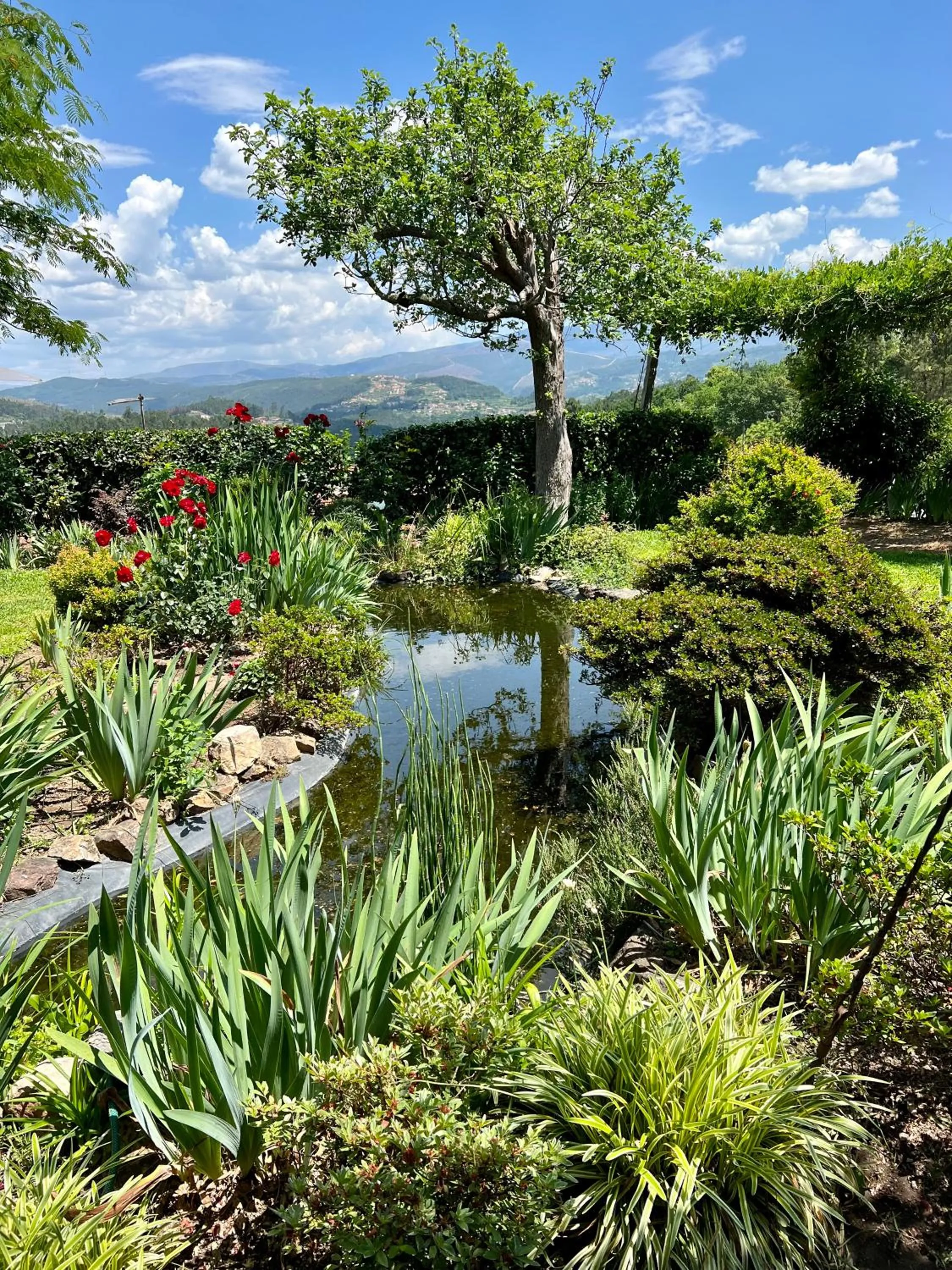 Natural landscape in Casa do Crasto