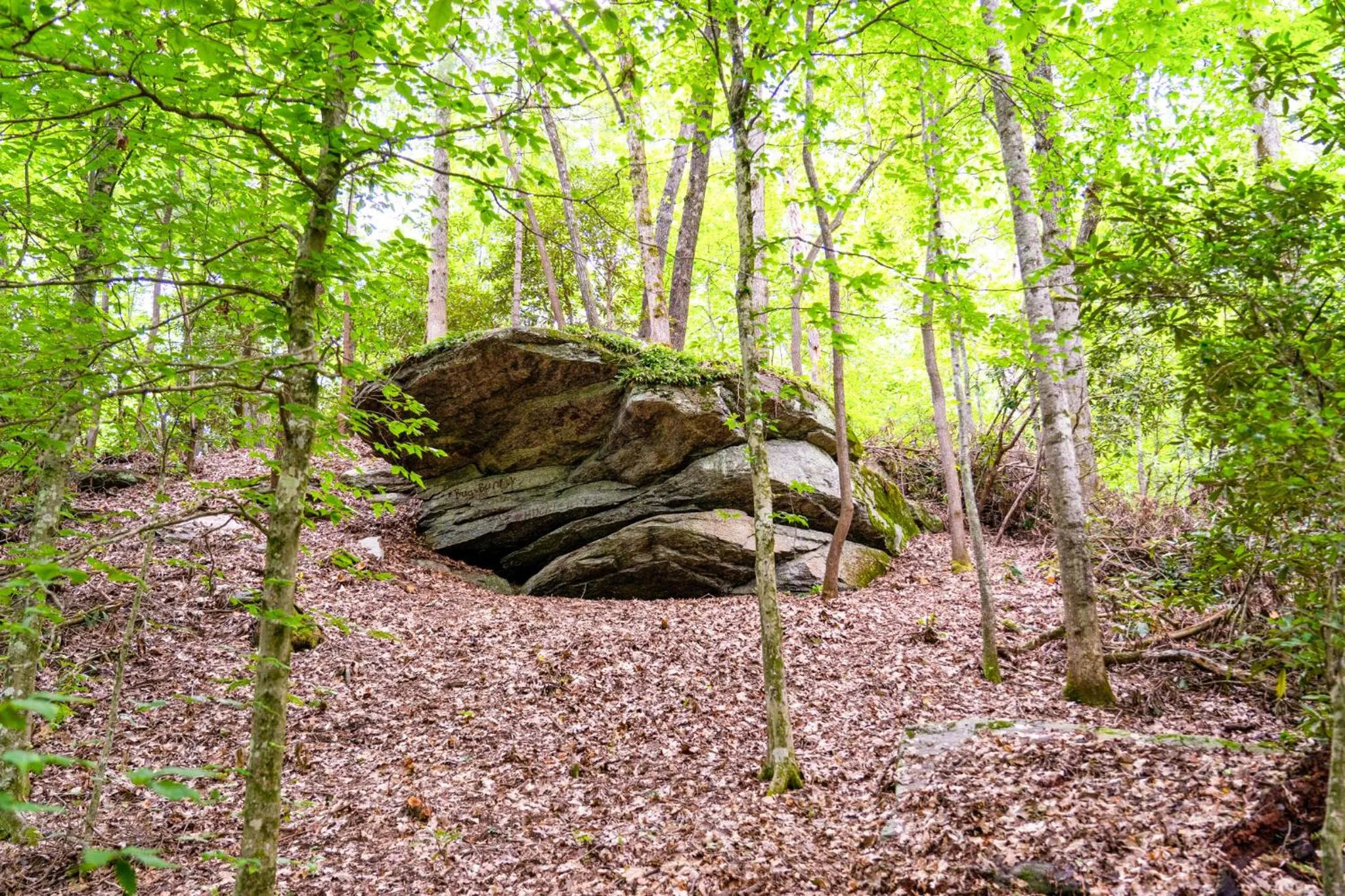 Natural landscape in Foggy Bottom Cabins
