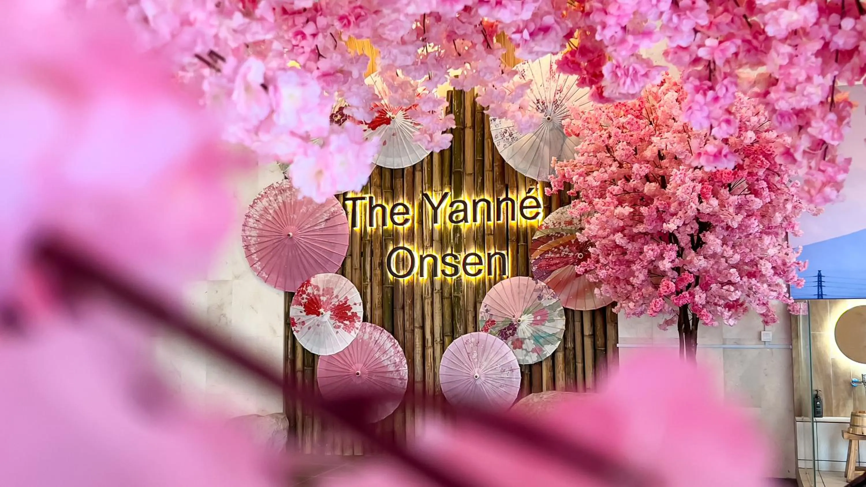 Hot Spring Bath in The Yanné, Onsen Hotel