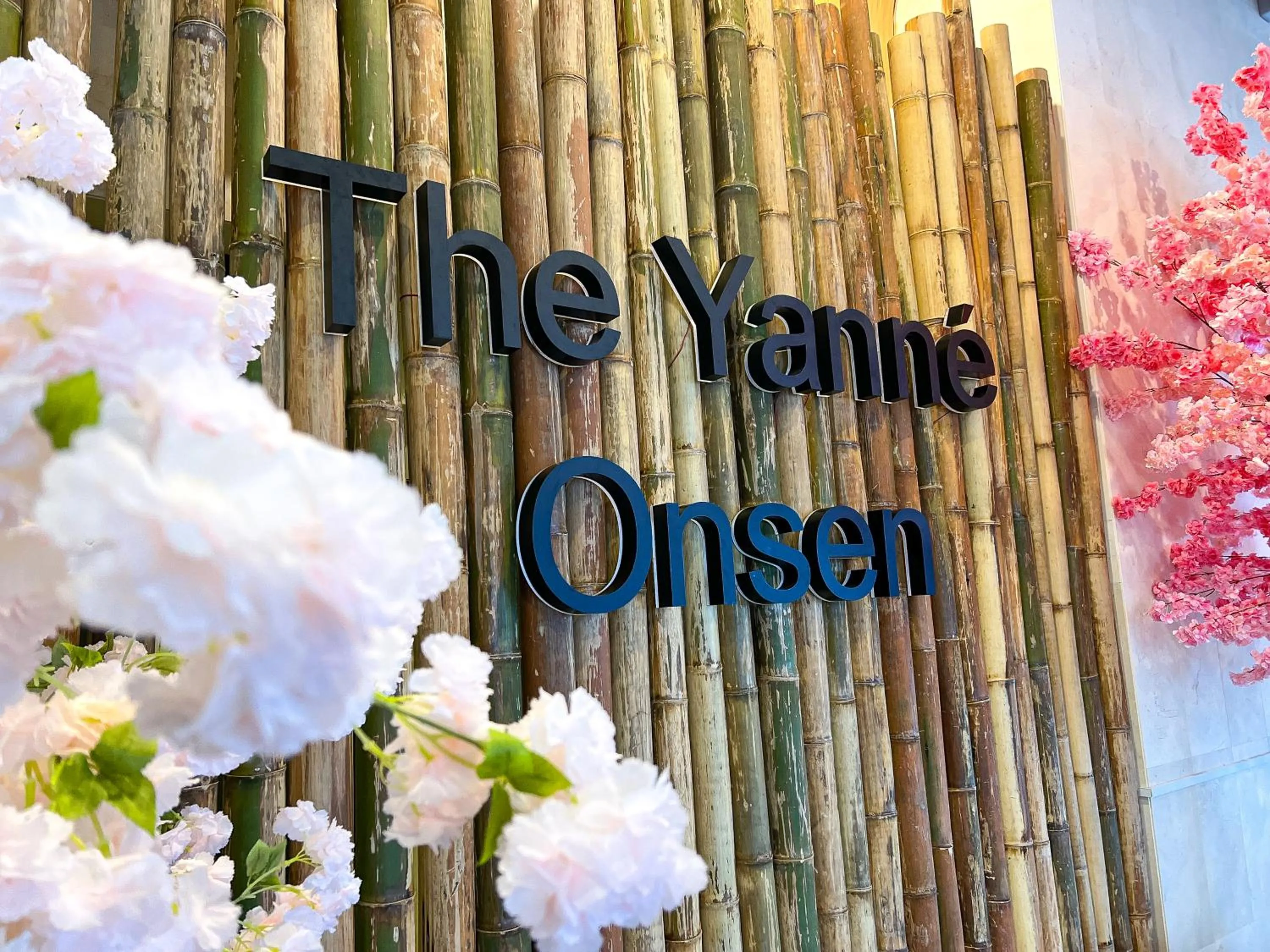 The Yanné, Onsen Hotel