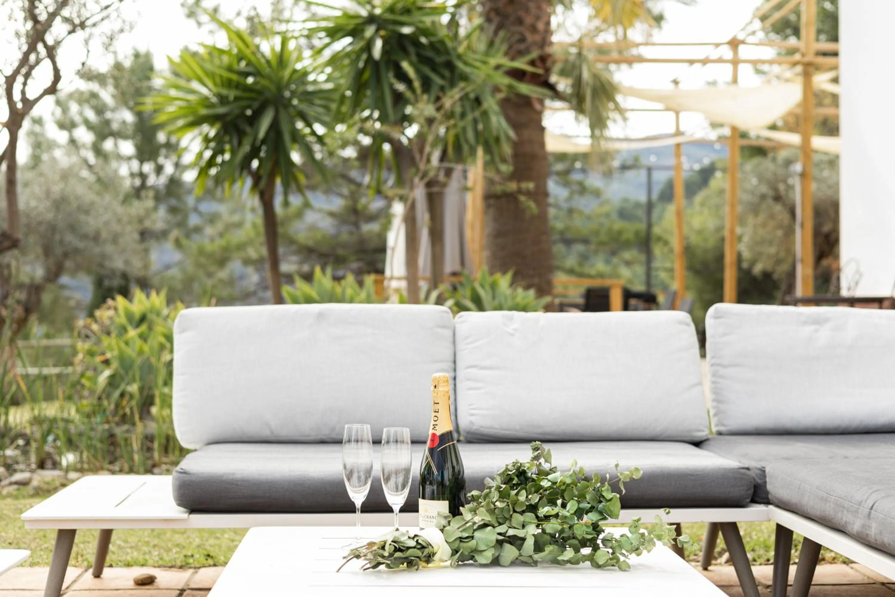 Garden in Cerro de Hijar