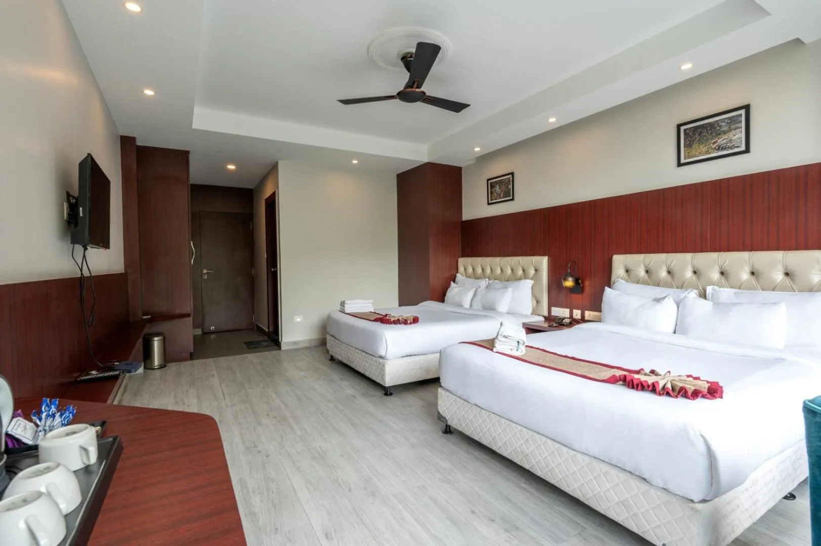 TV and multimedia in Avianna Gangtok Resort & Spa