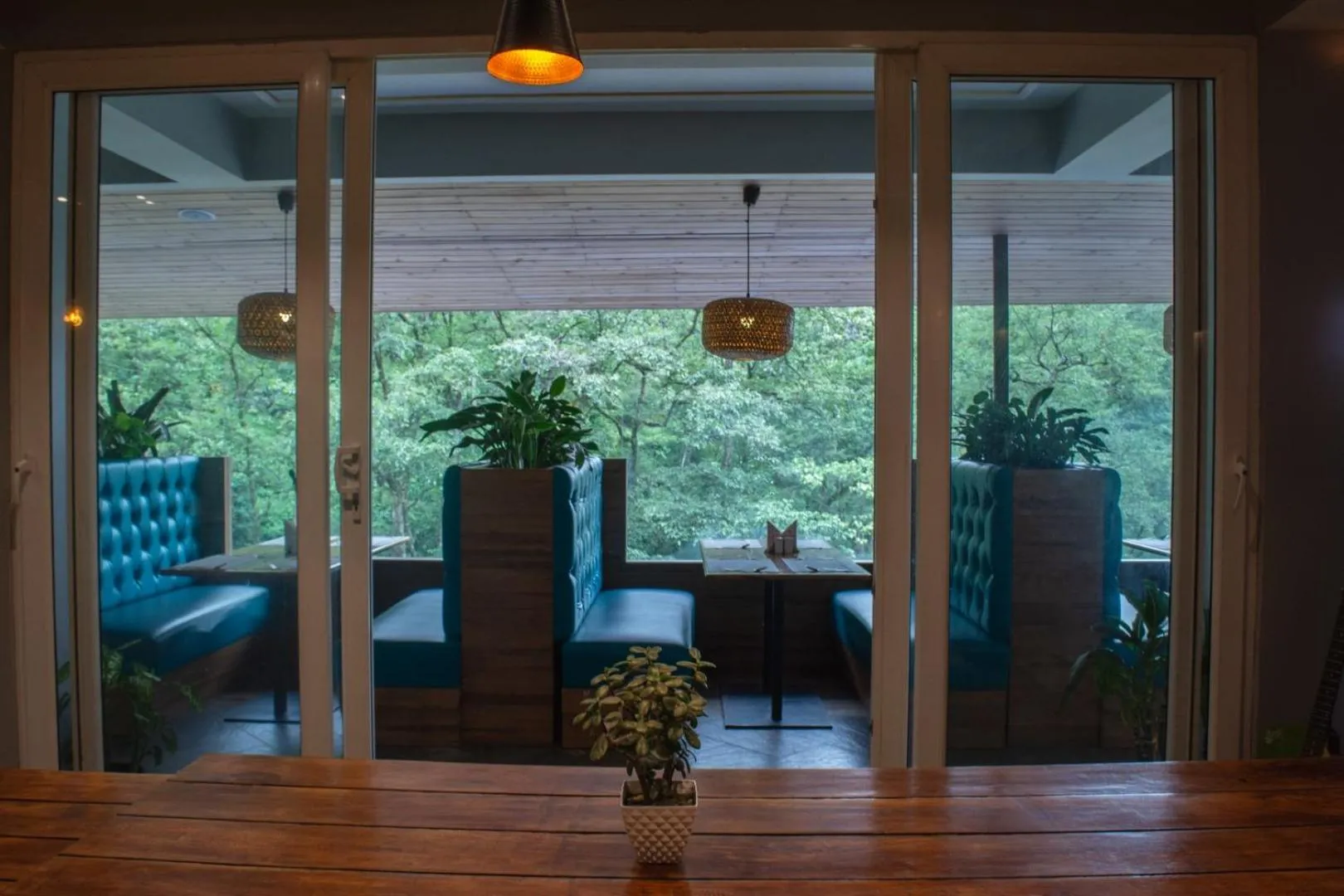 Restaurant/places to eat in Avianna Gangtok Resort & Spa