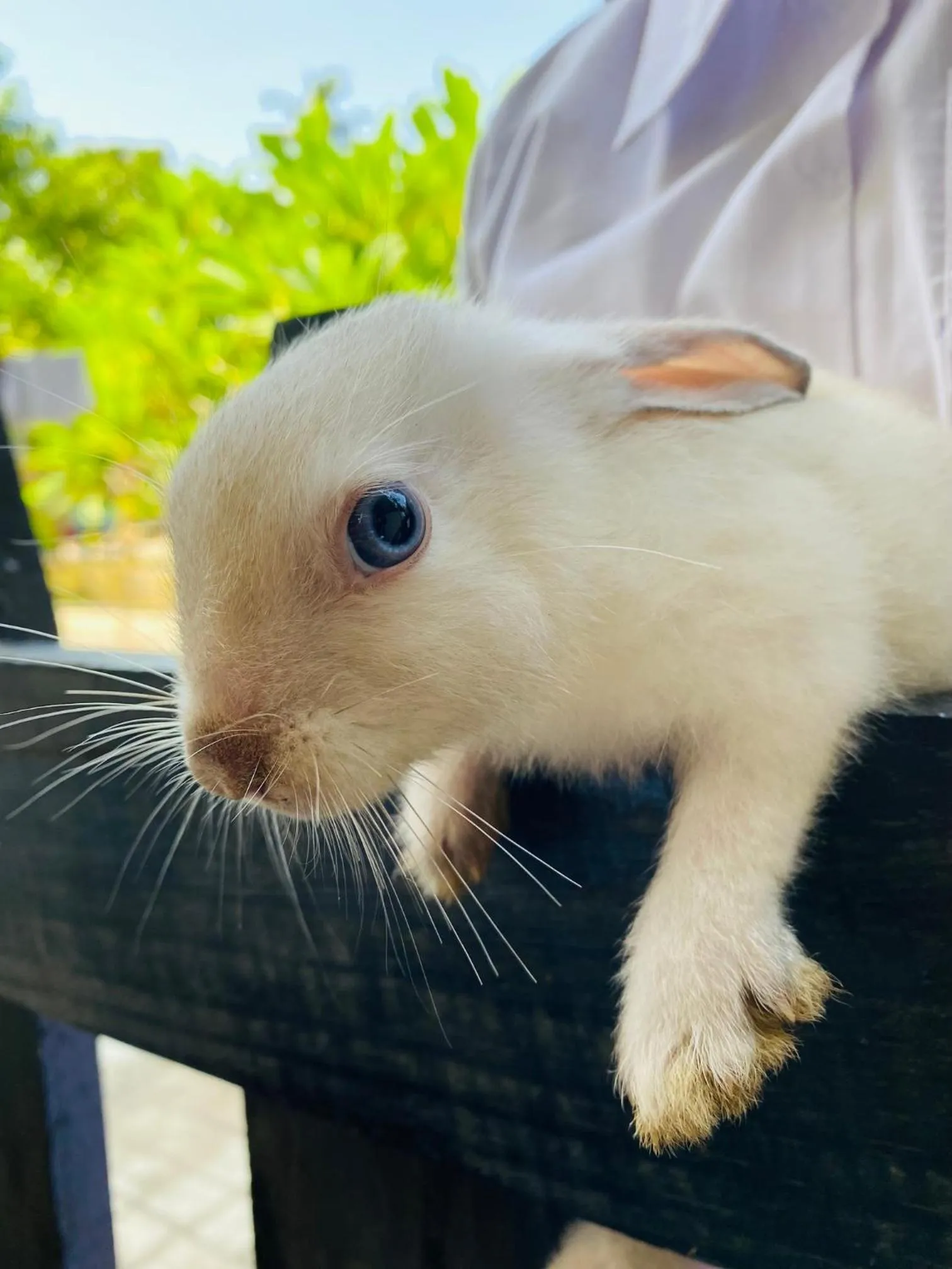 The Kingslayer Resort