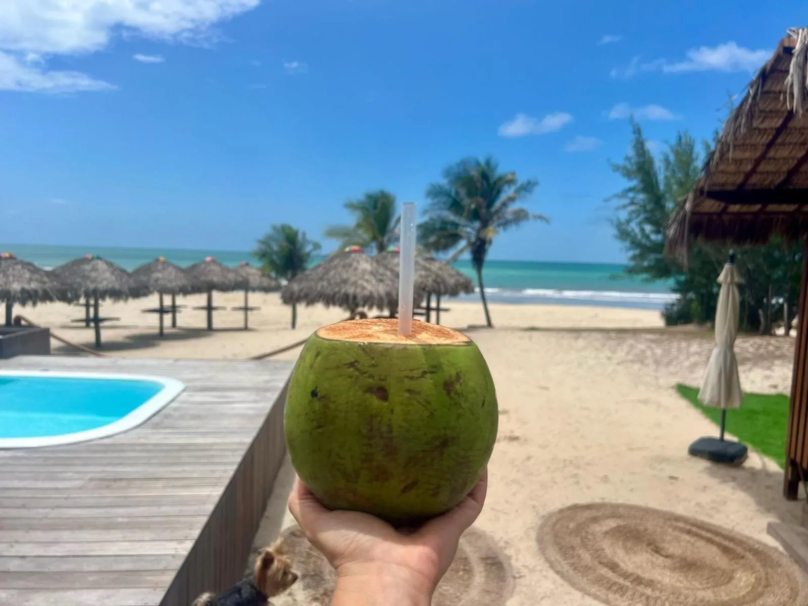 Camozen Resort & Spa