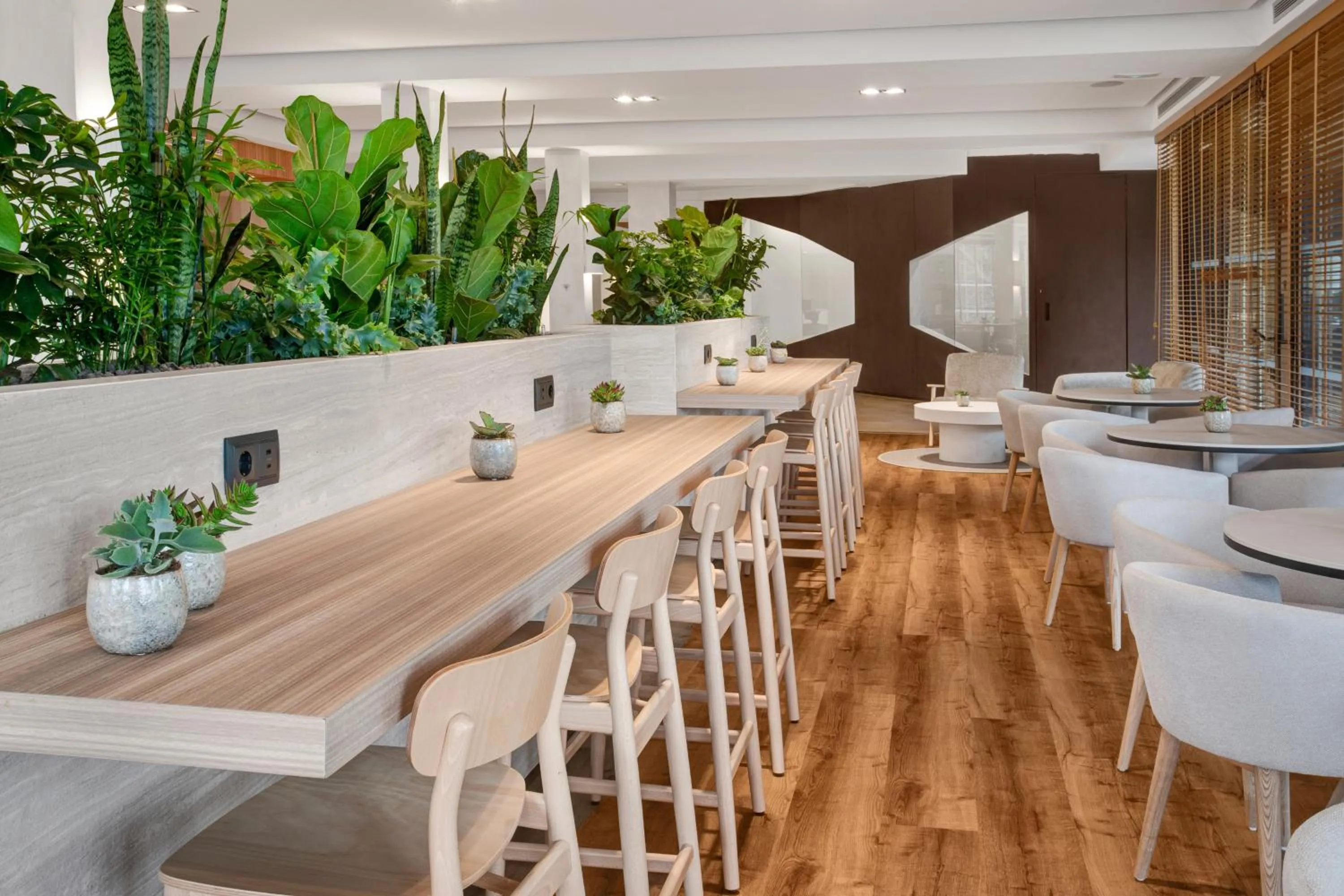 Restaurant/places to eat in Meliá Lloret de Mar