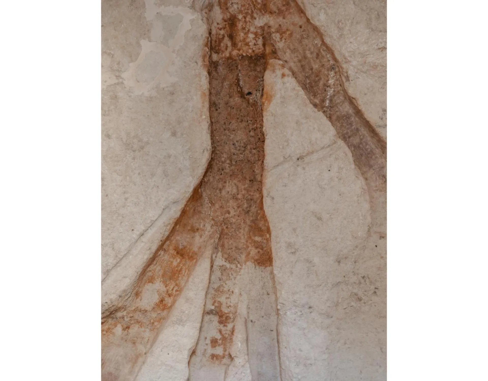 Property building in DOMUS DE ARMENIS