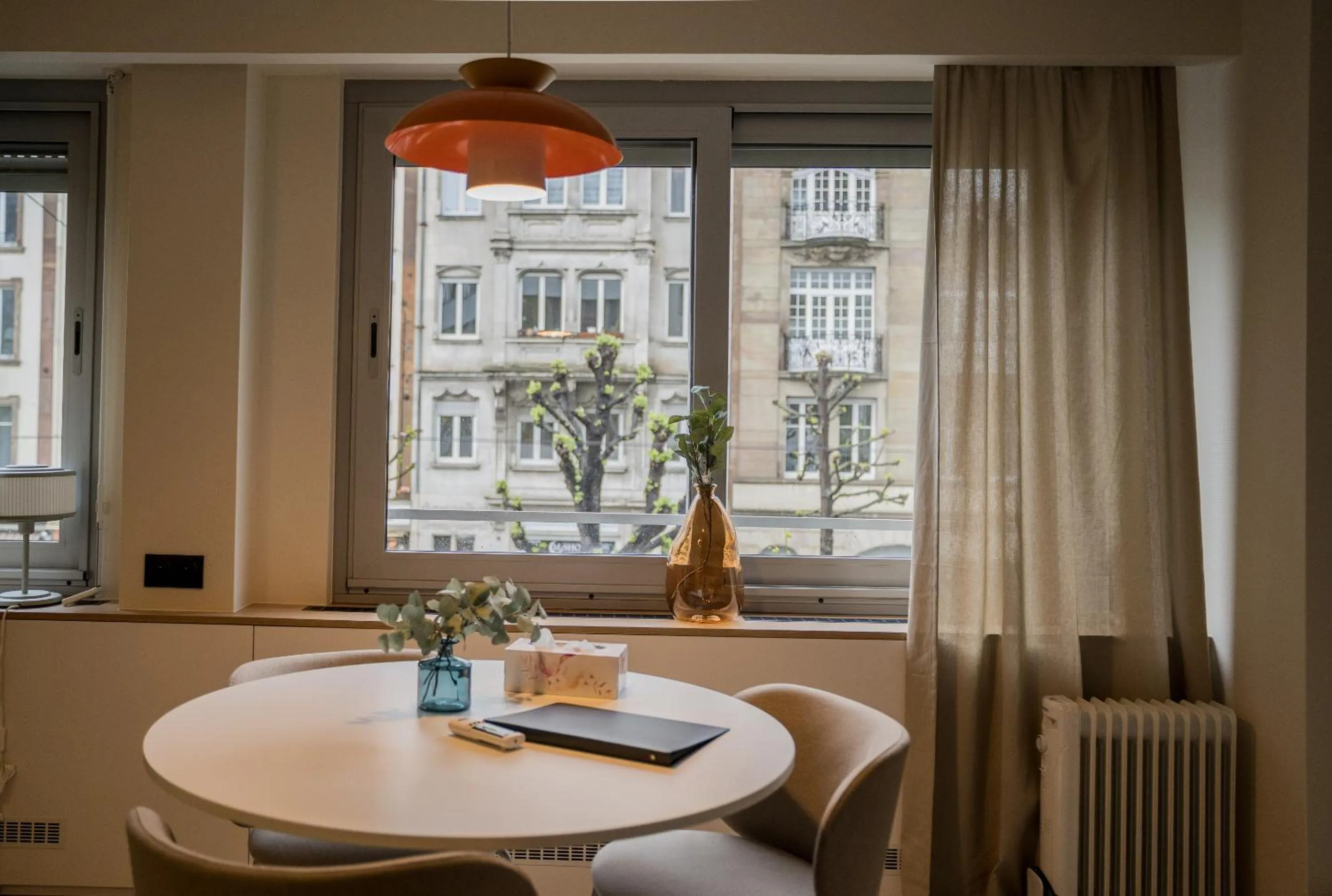 View (from property/room) in Le Gabriel - STRASBOURG