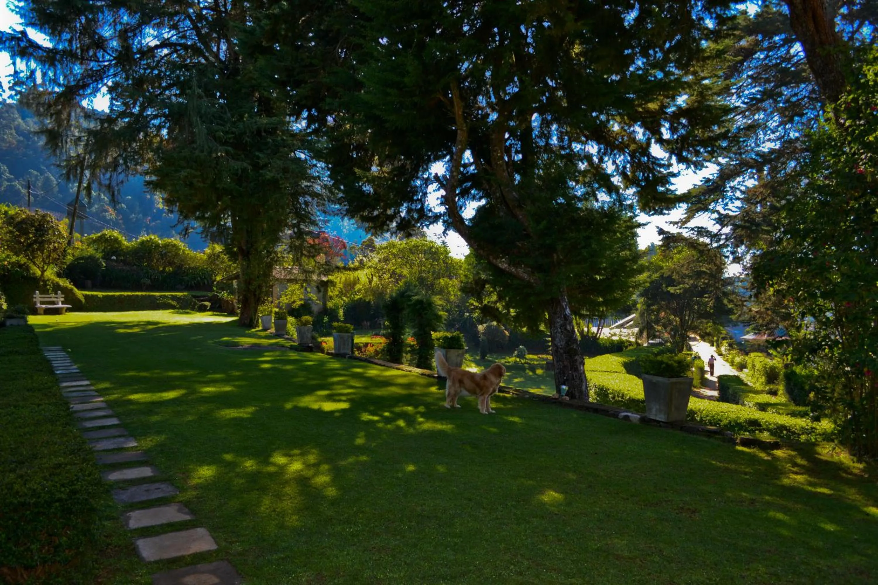 Garden in Brockenhurst Bungalow